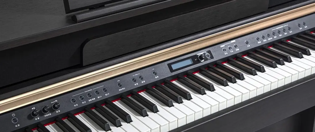 Müller D-1 Grand Series piyano tuşları ve pedal detayları