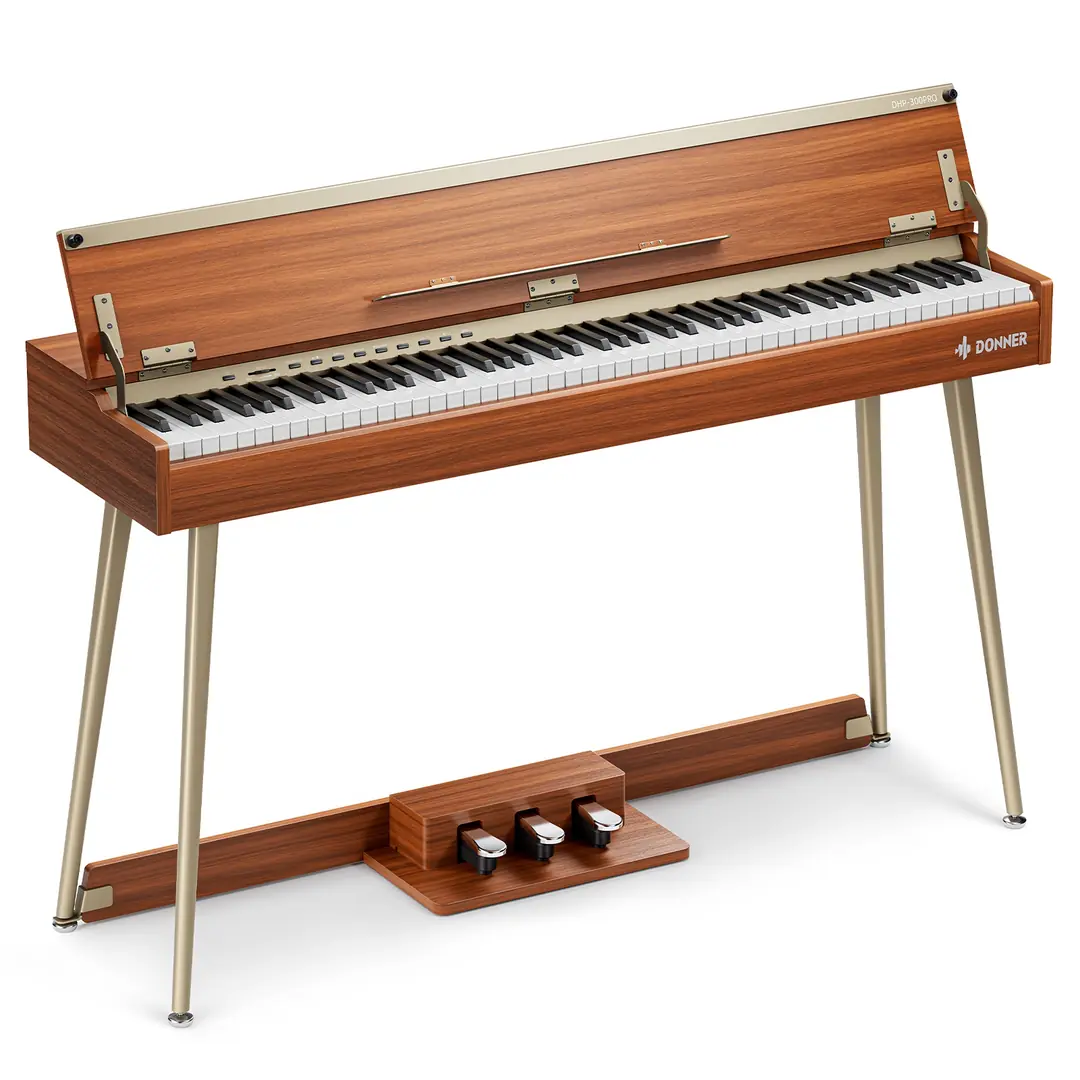 Donner DHP-300 Pro arka panel bağlantıları USB MIDI