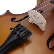 Bremen BV-014 Keman Taşıma Kutusu Yay ve Reçine Seti Aktaş Müzik