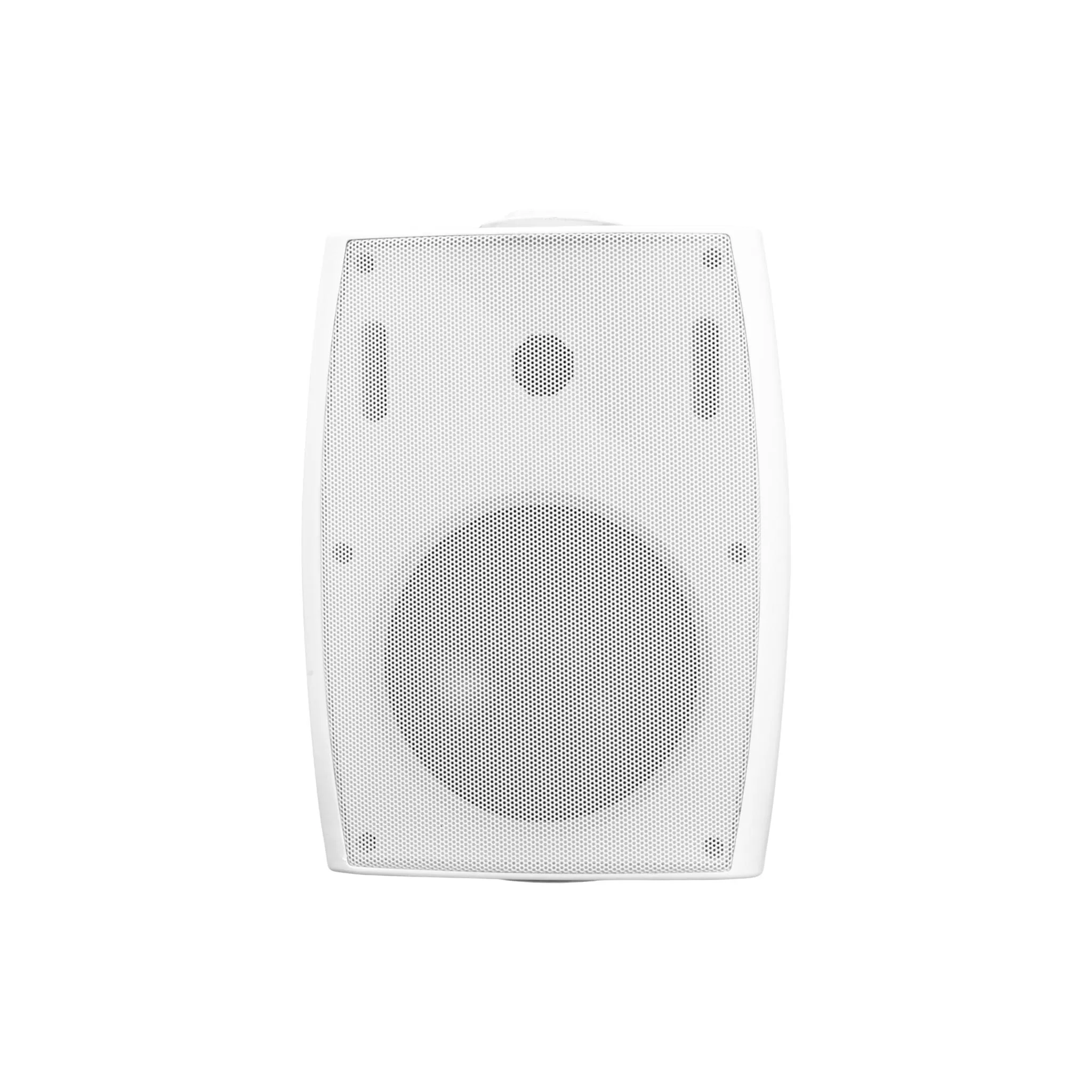 Bofmann BF 6ATW-S 60 Watt Duvar Tipi Hat Trafolu Hoparlör Detay