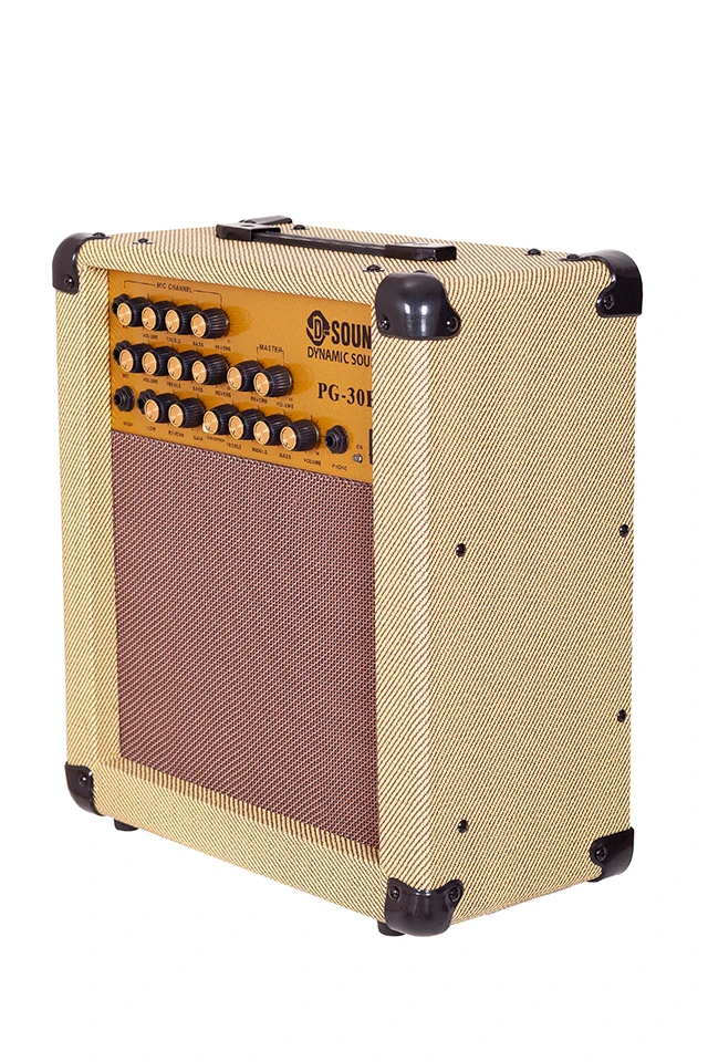 D-Sound Pg-30R Enstruman Amfisi