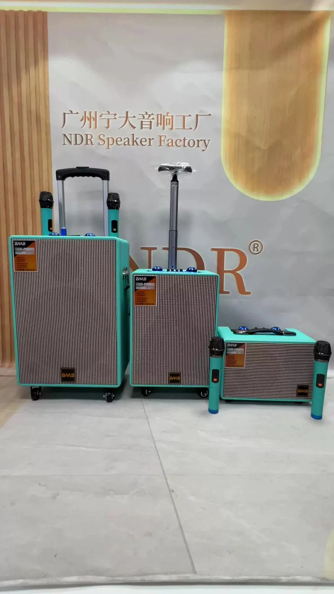 Ds-V8 Taşınabilir Şarjlı Hoparlör detay