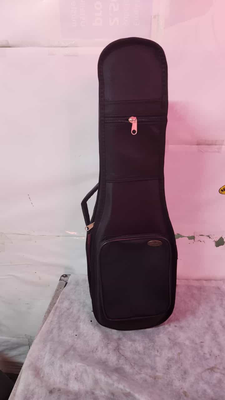 Keman Kılıfı Gigbag detay