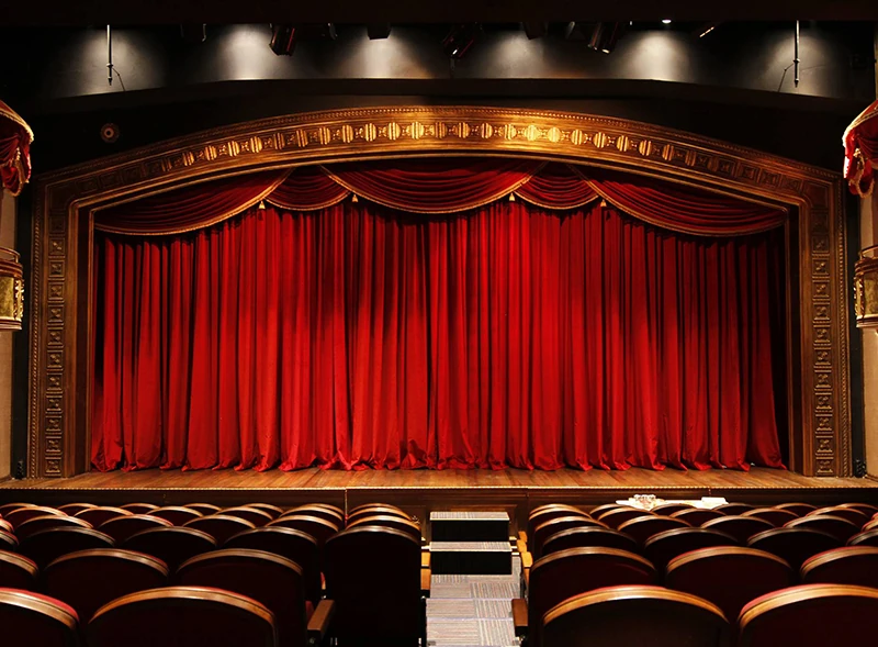 D Sound Ds-337S Tiyatro Koro Kamera Fotoğraf Makinası Mikrofonu görünüm