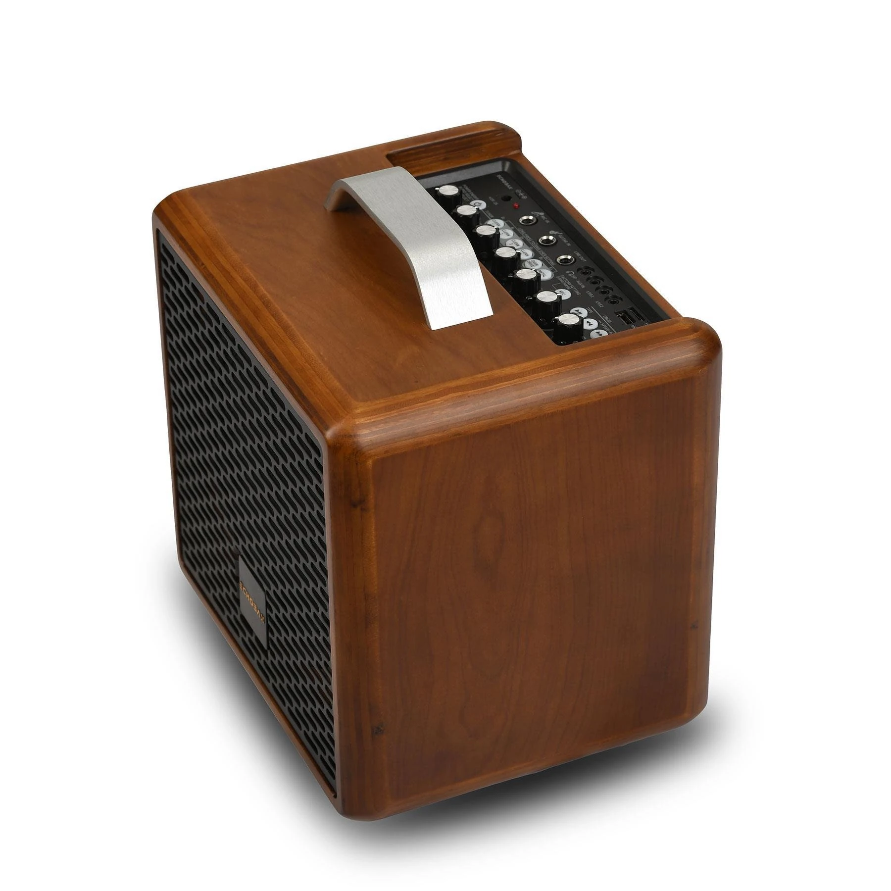 Echoban AT4 40 Watt Portable Amfi görünüm