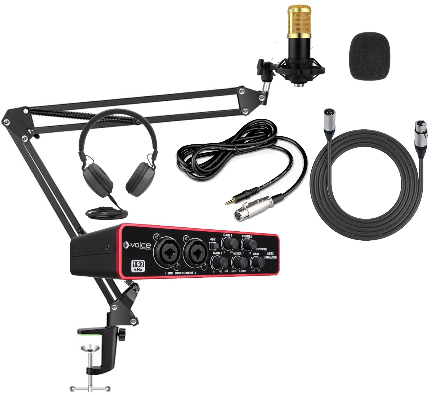 D-Voice Ab22 Usb Studyo Paket 5