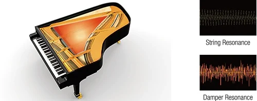 Casio GP-310 Celviano Grand Hybrid Dijital Piyano (Siyah) görünüm