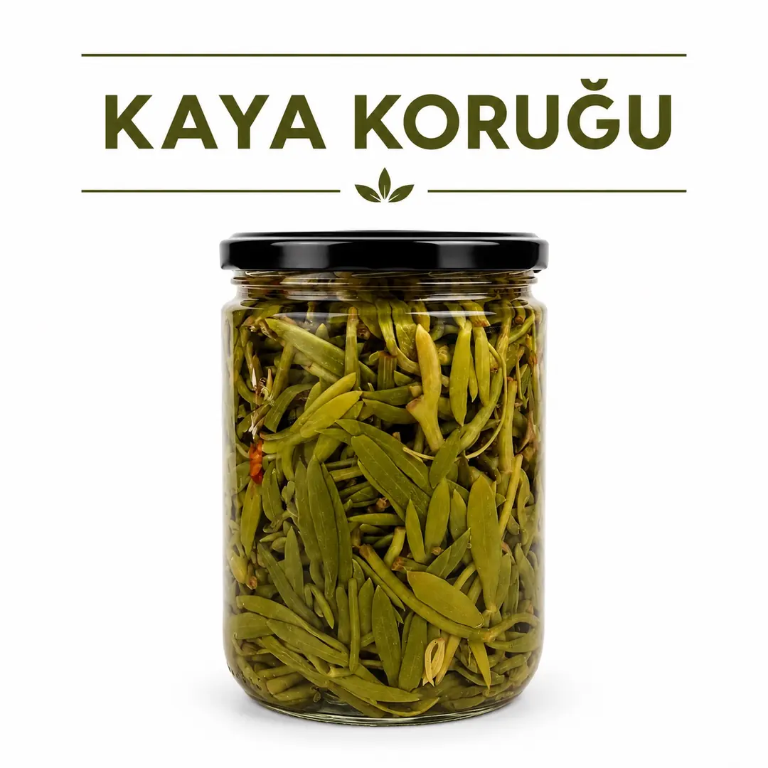 Kaya Koruğu 660 cc.