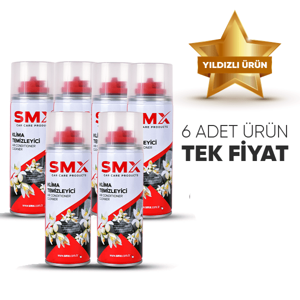 6 ADET Klima Temizleyici 200 mL