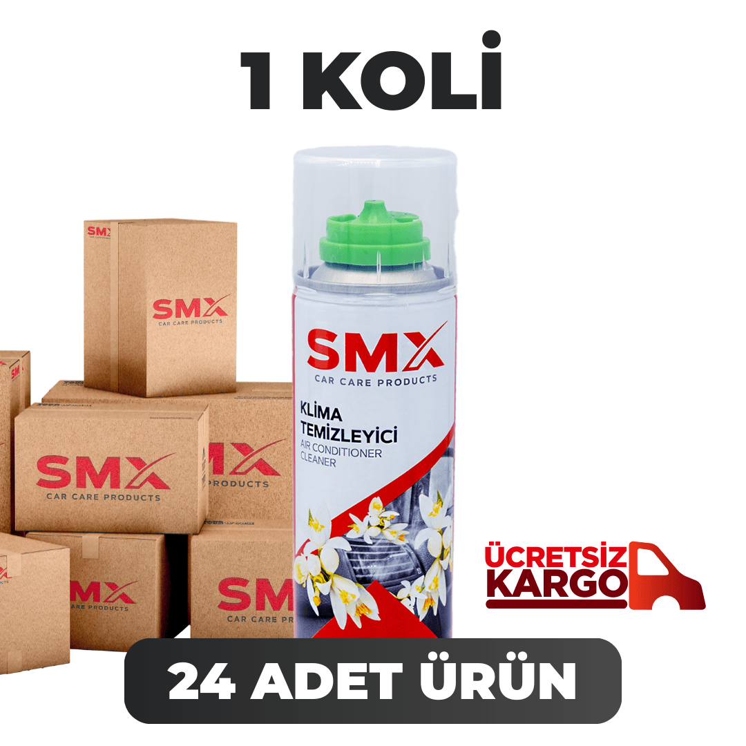 Klima Temizleyici 200 mL 24 Adet (1 Koli)