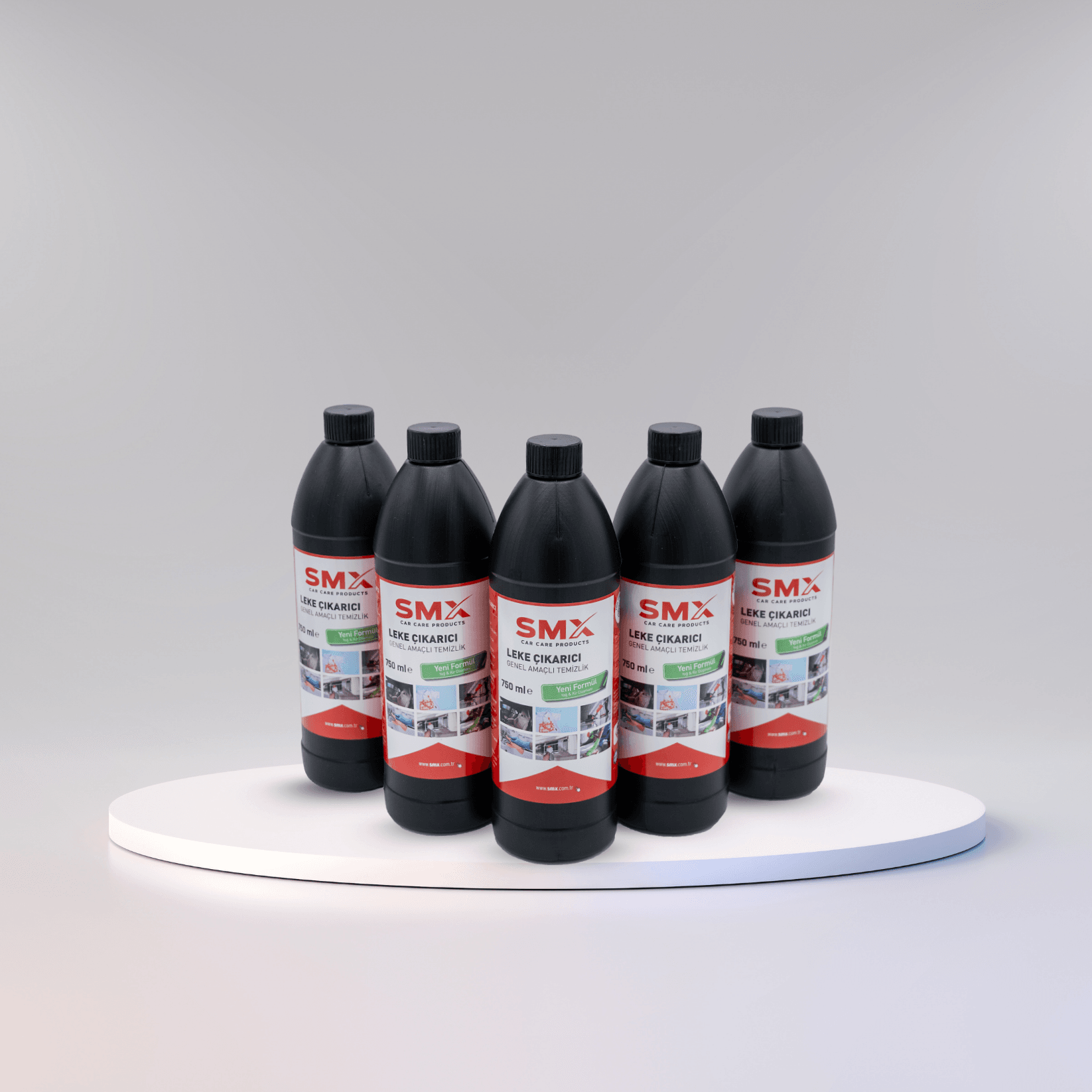 Leke Çıkarıcı /Genel Amaçlı Temizlik Ürünü 750ML (5 Adet)