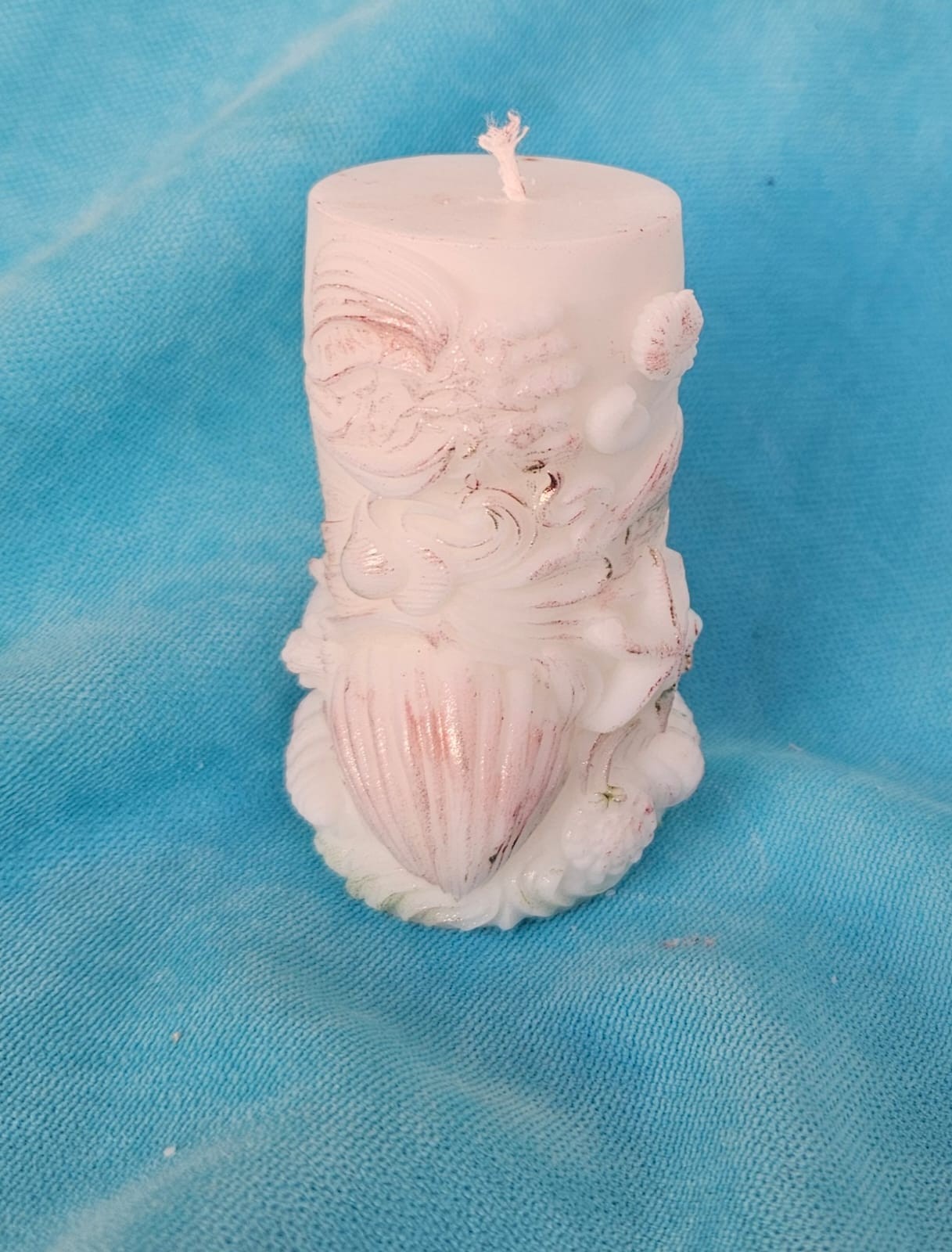 Deniz kabuğu soya wax mum