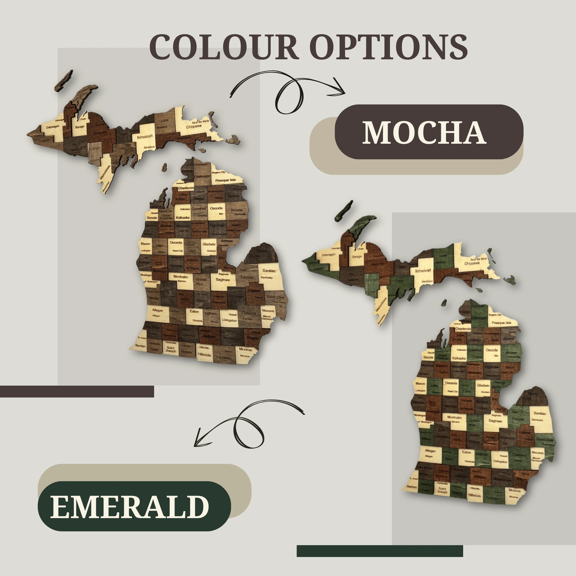 Wooden Michigan State Map