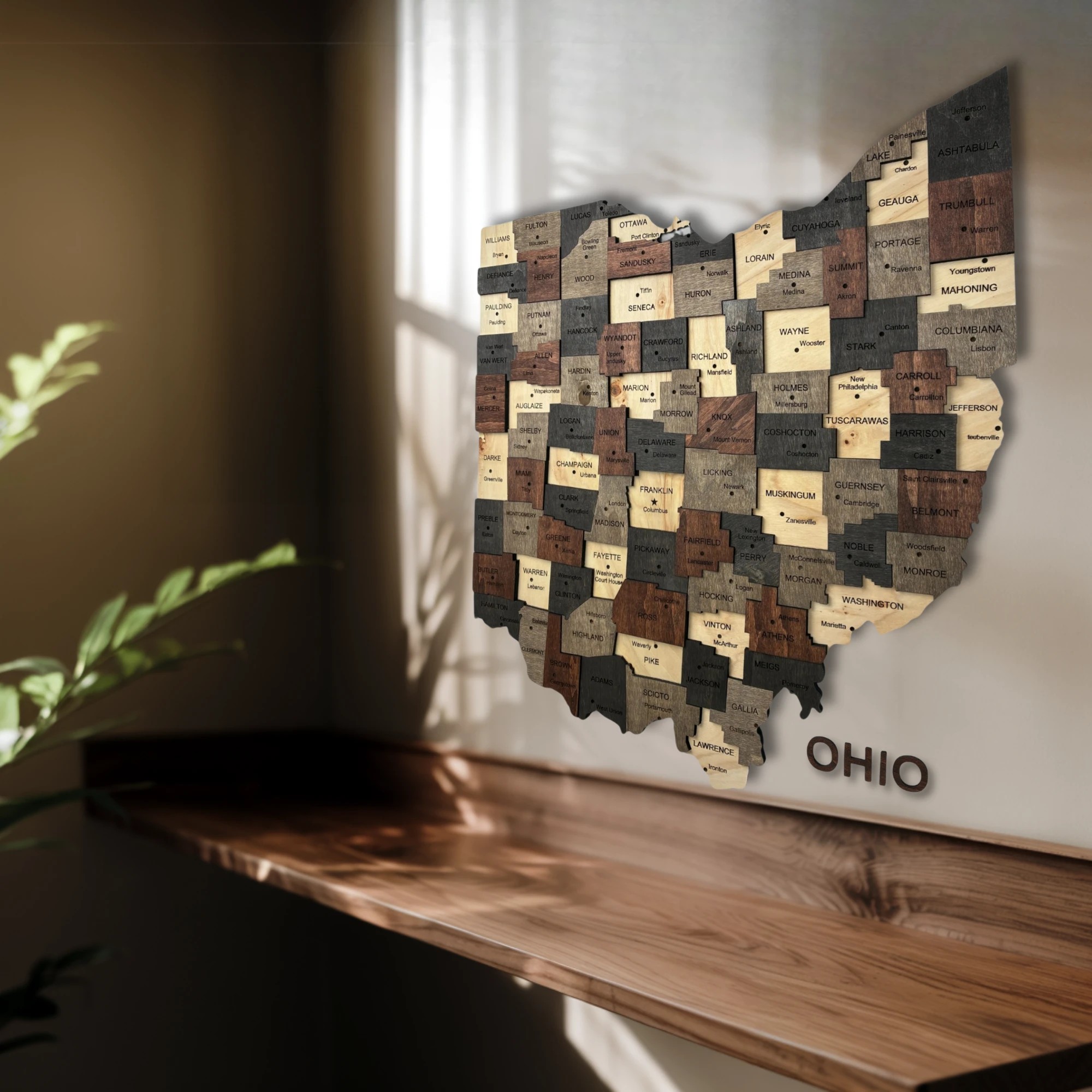 Wooden Ohio State Map