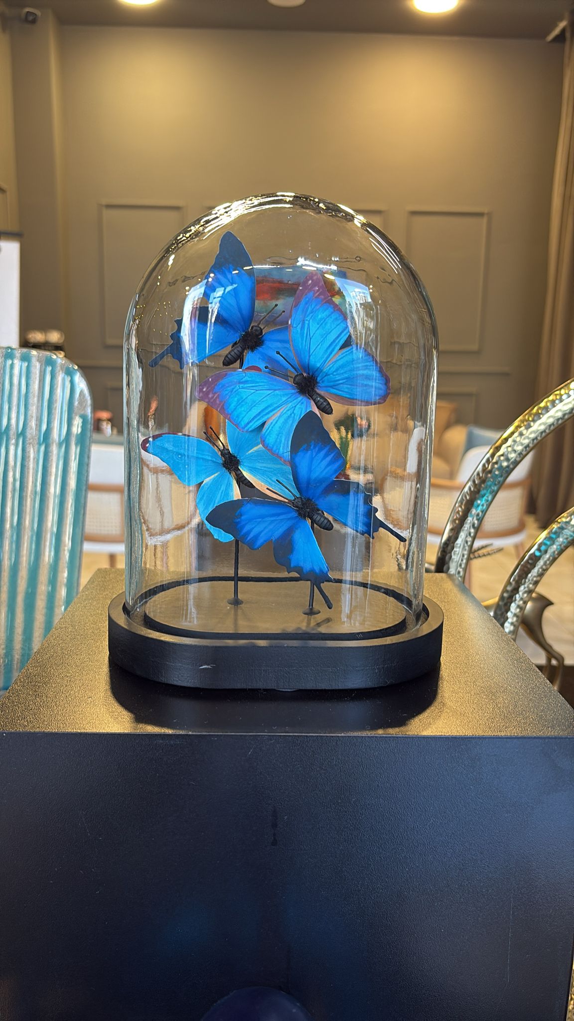 kelebek fanus küçük boy