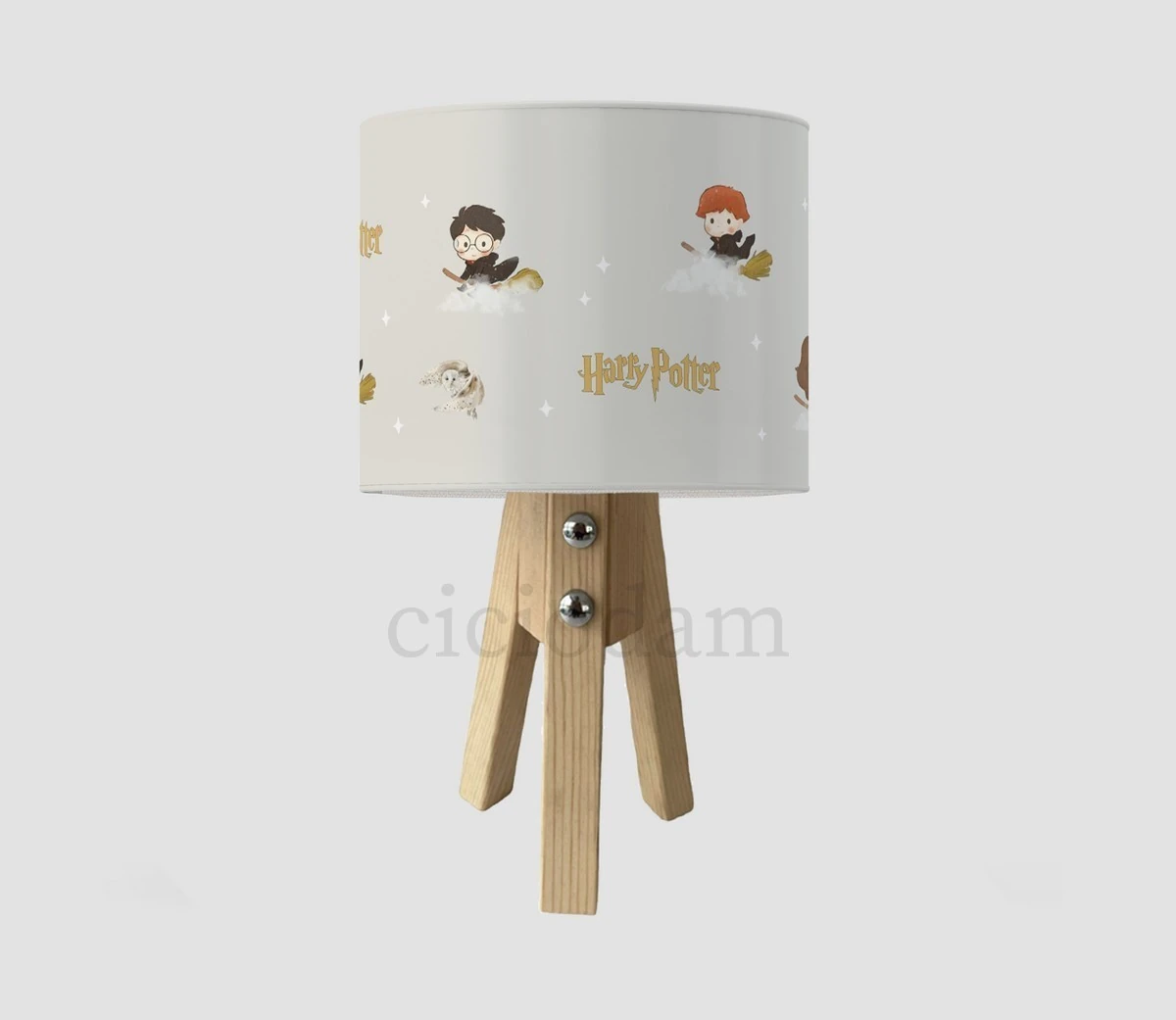 Harry Potter Ve Şato Çocuk Odası Abajur