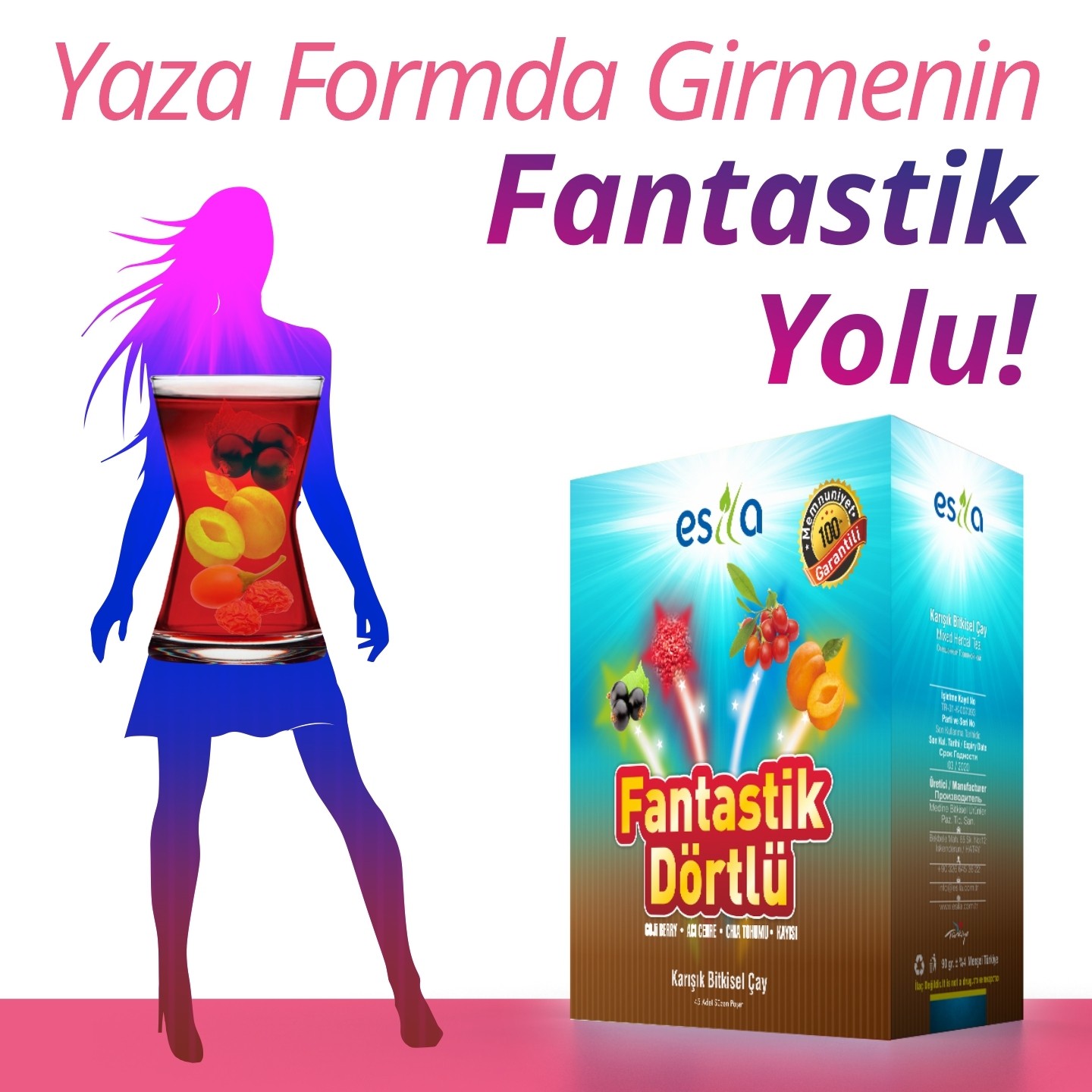 ESİLA Fantastik Dörtlü Bitkisel Yaz Çayı 45 Süzen Poşet