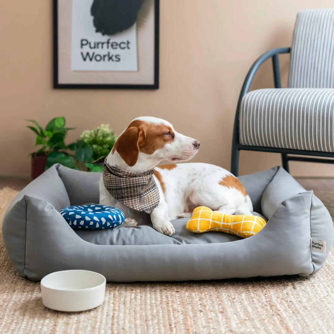 CornerBed Kedi & Köpek Yatağı (Limited) - Sea Pebble