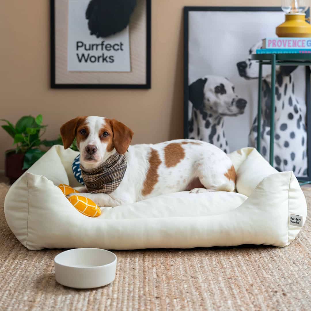 CornerBed Kedi & Köpek Yatağı (Limited) - Sun Cream