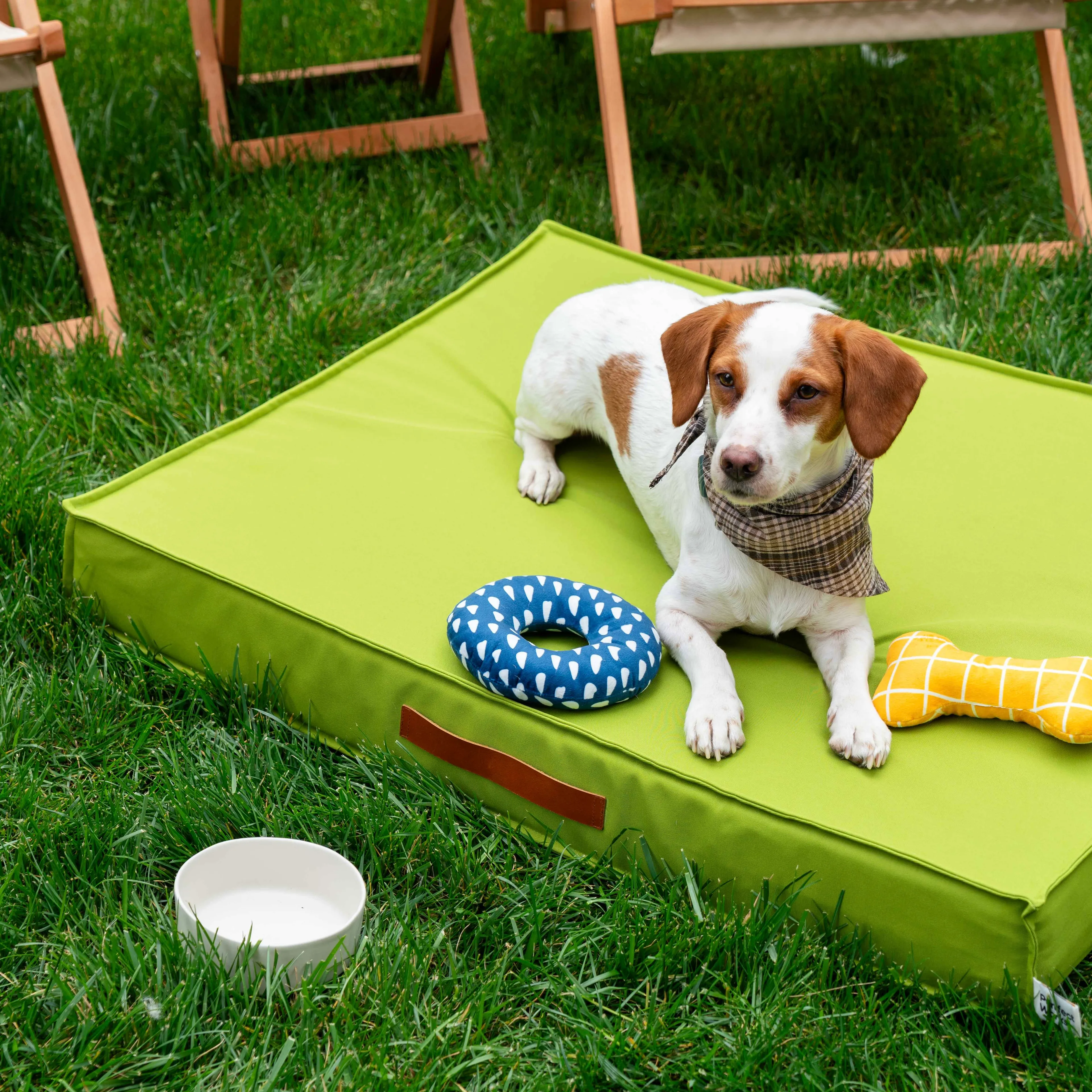 FlexBed Kedi & Köpek Yatağı - Matcha Green