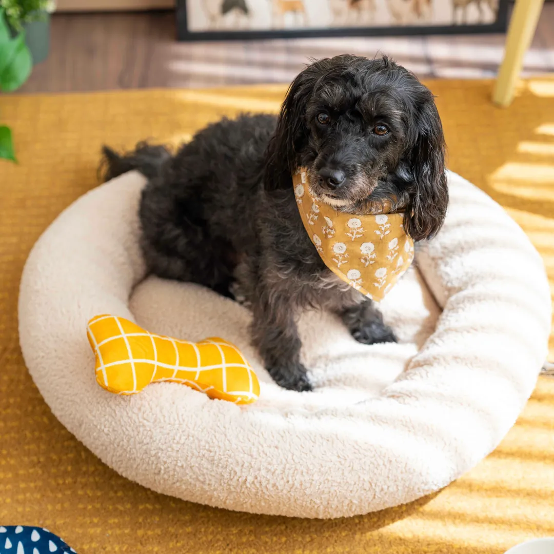 CircleBed Kedi & Köpek Yatağı - Vanilla Cream