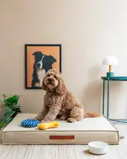 FlexBed