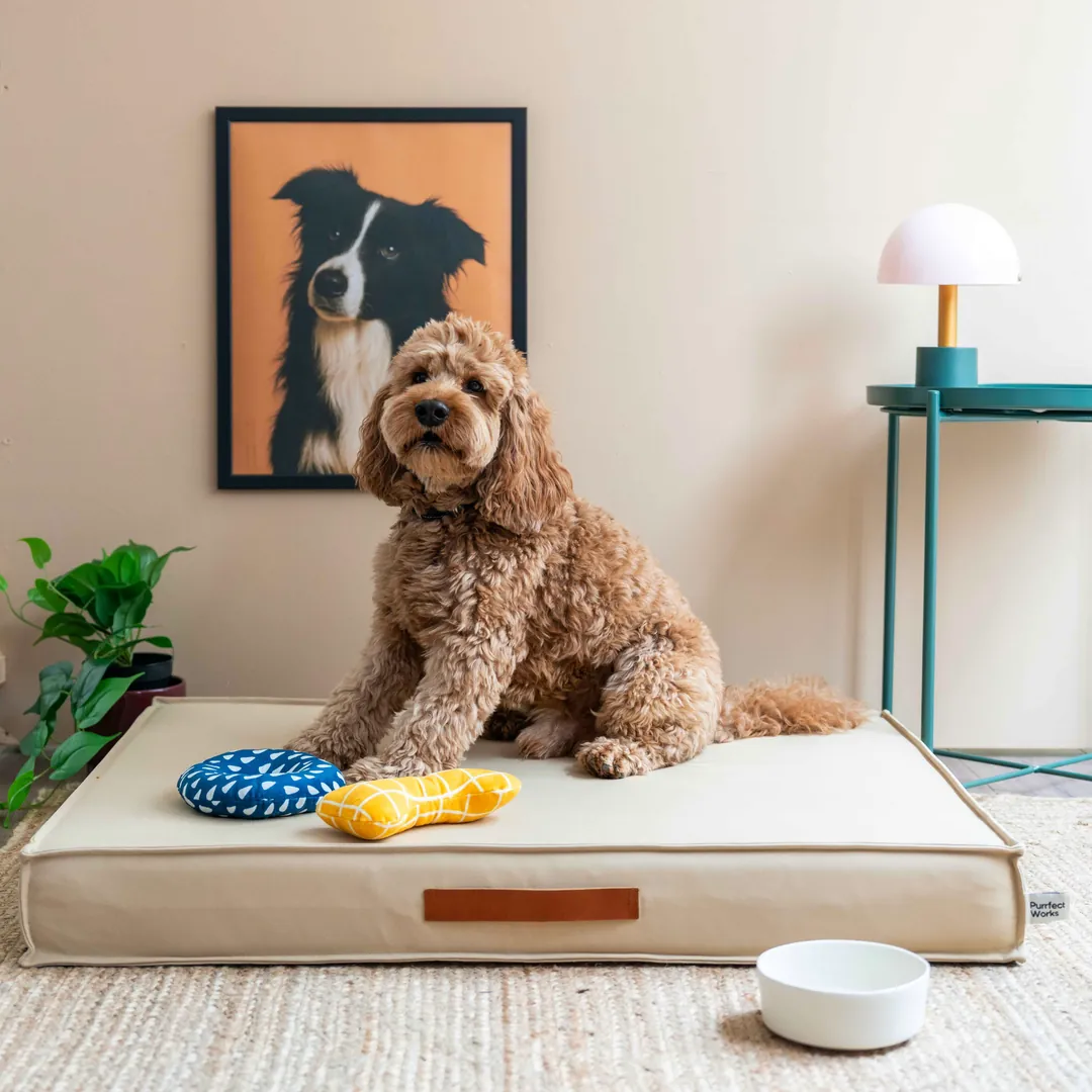 FlexBed Kedi & Köpek Yatağı - Iced Latte