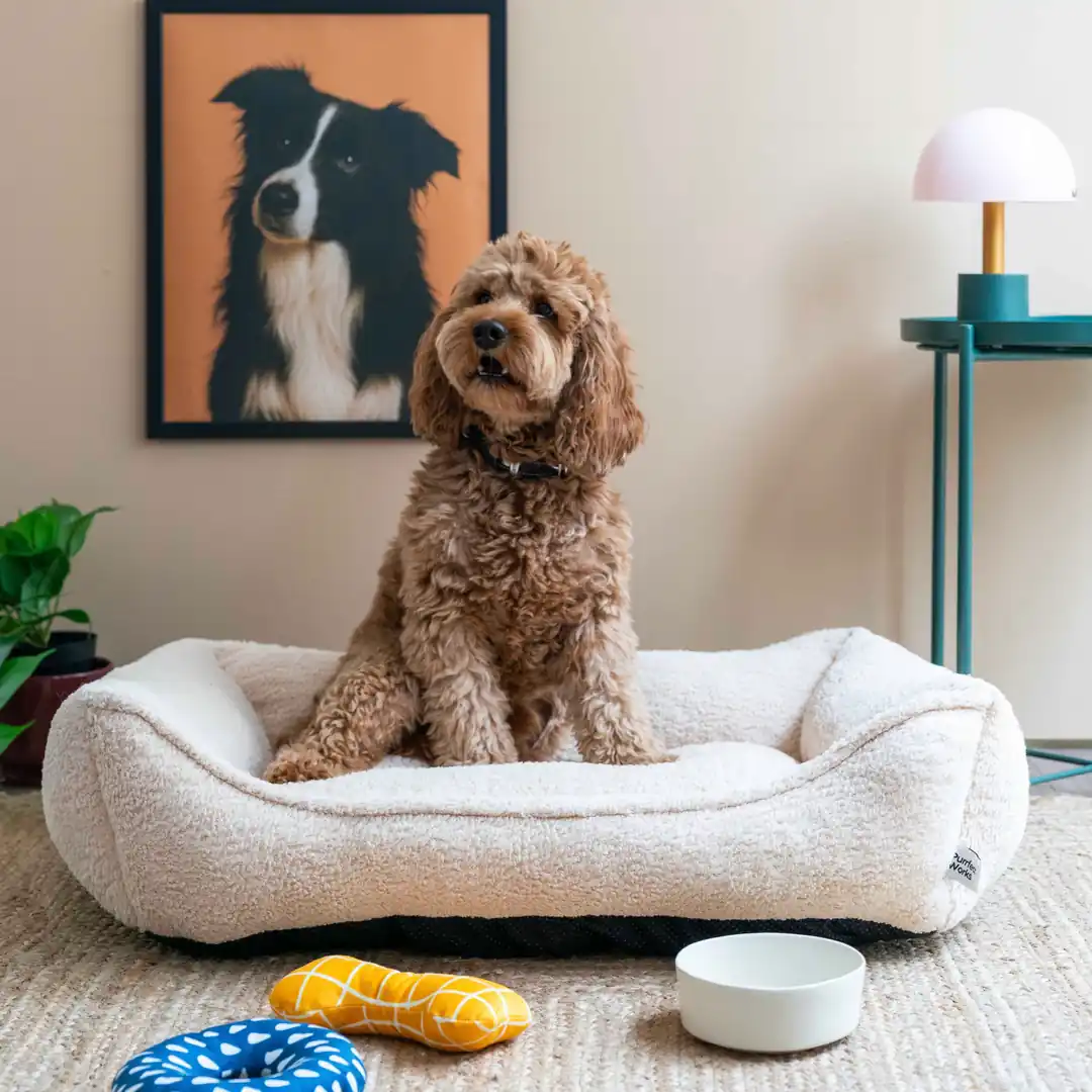 CornerBed Kedi & Köpek Yatağı - Vanilla Cream