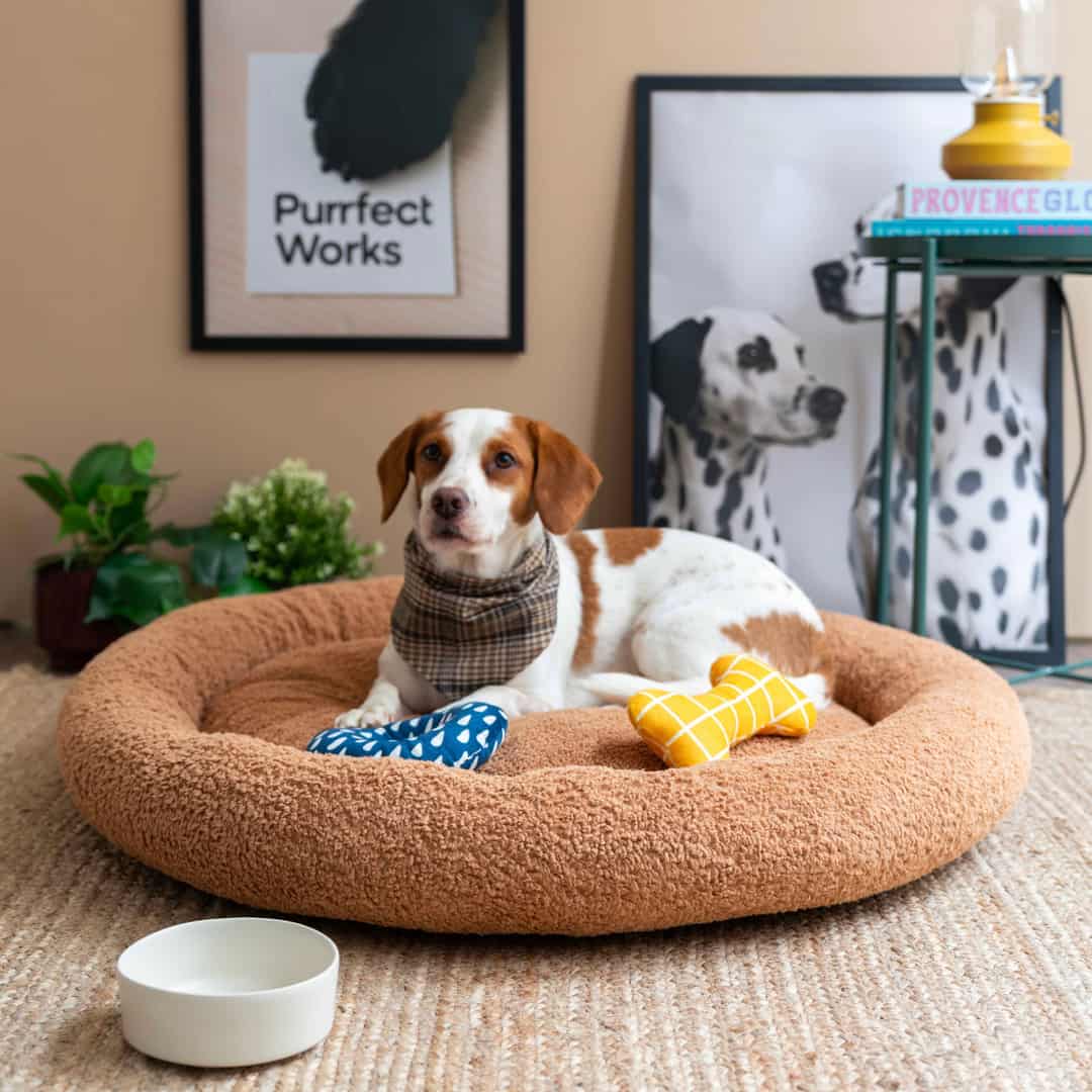 CircleBed Kedi & Köpek Yatağı - Brown Sugar