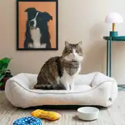 CornerBed
