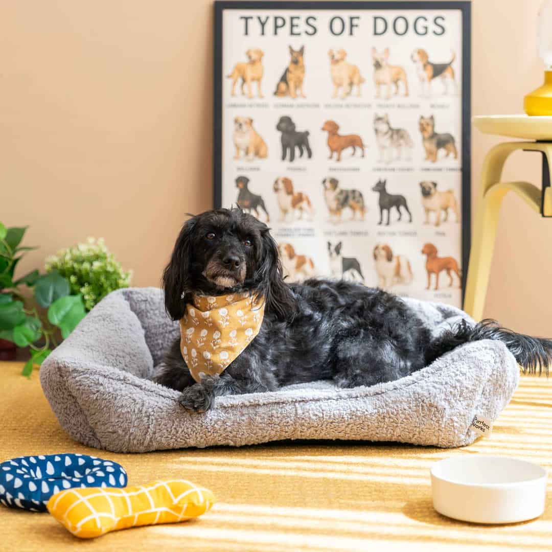 CornerBed Kedi & Köpek Yatağı - Mist Grey