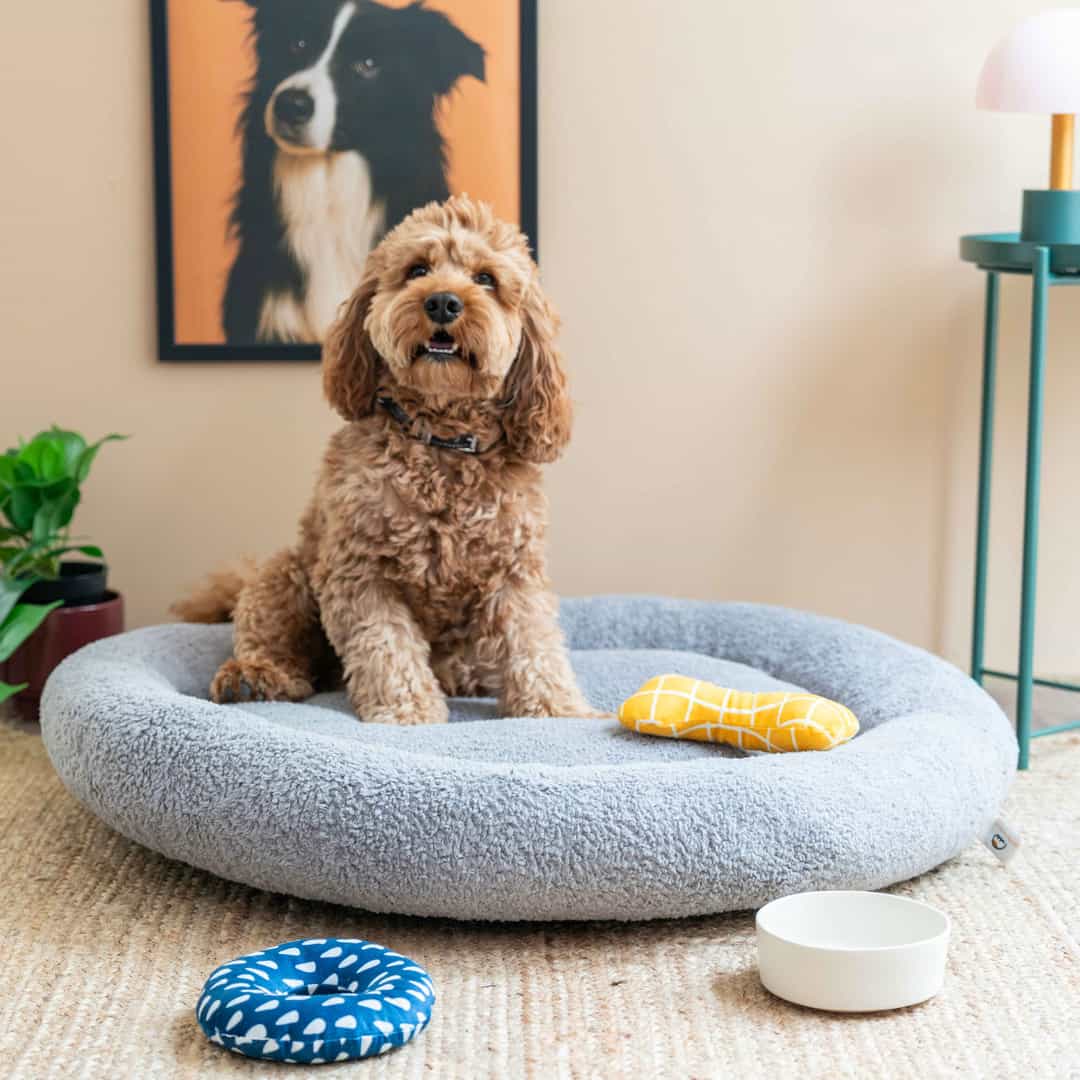 CircleBed Kedi & Köpek Yatağı - Mist Grey