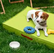 FlexBed