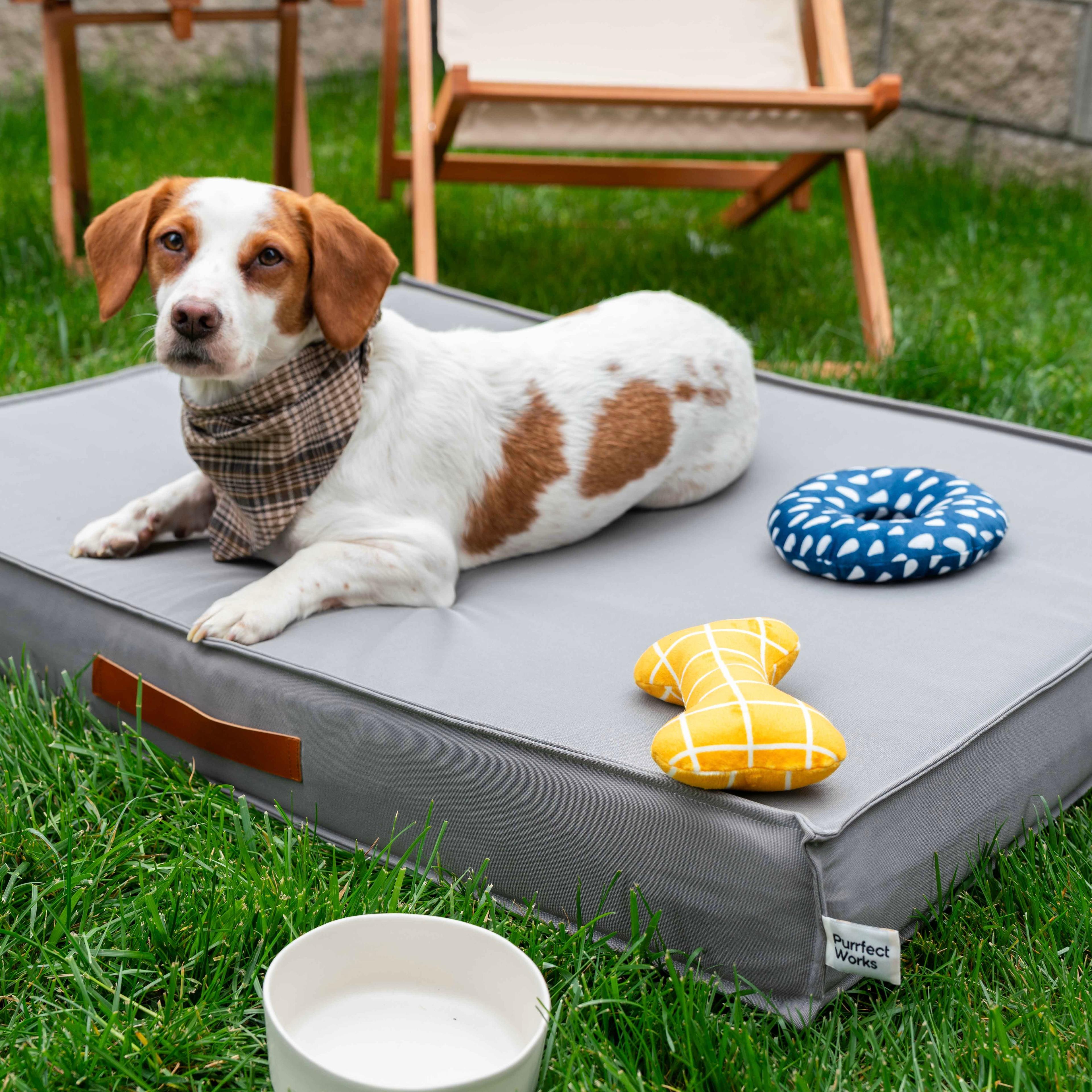 FlexBed Sea Pebble Kedi & Köpek Yatağı