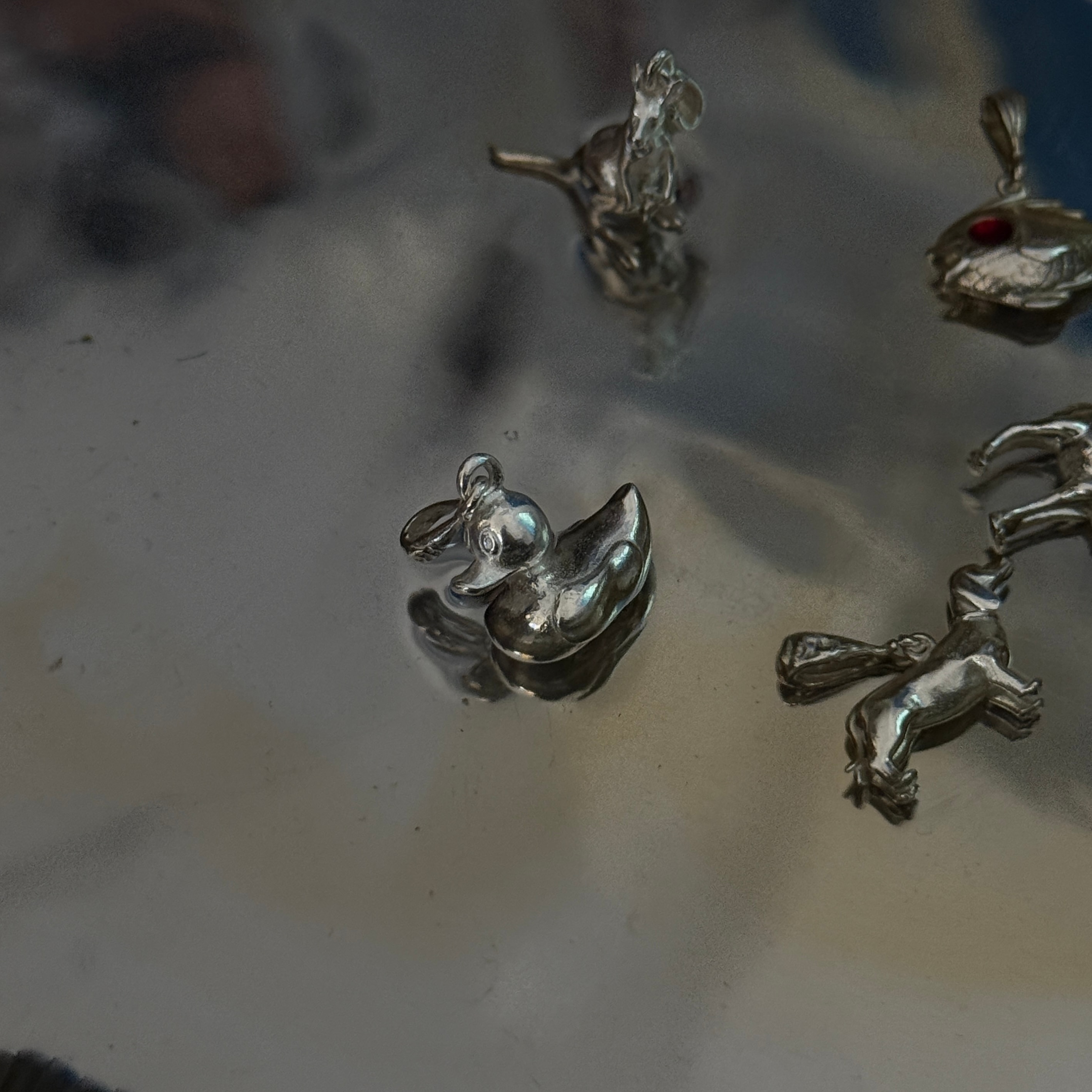 The Ugly Duckling Charm