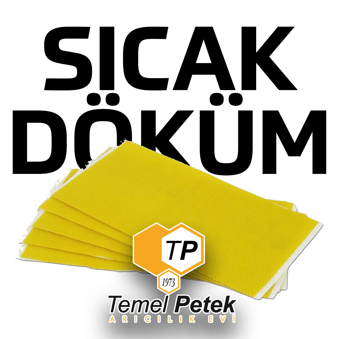 Temel Petek Sıcak Döküm 10kg Koli