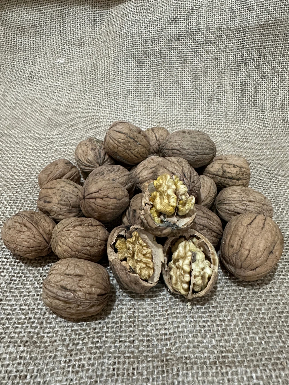 Kabuklu Ceviz (1 KG)