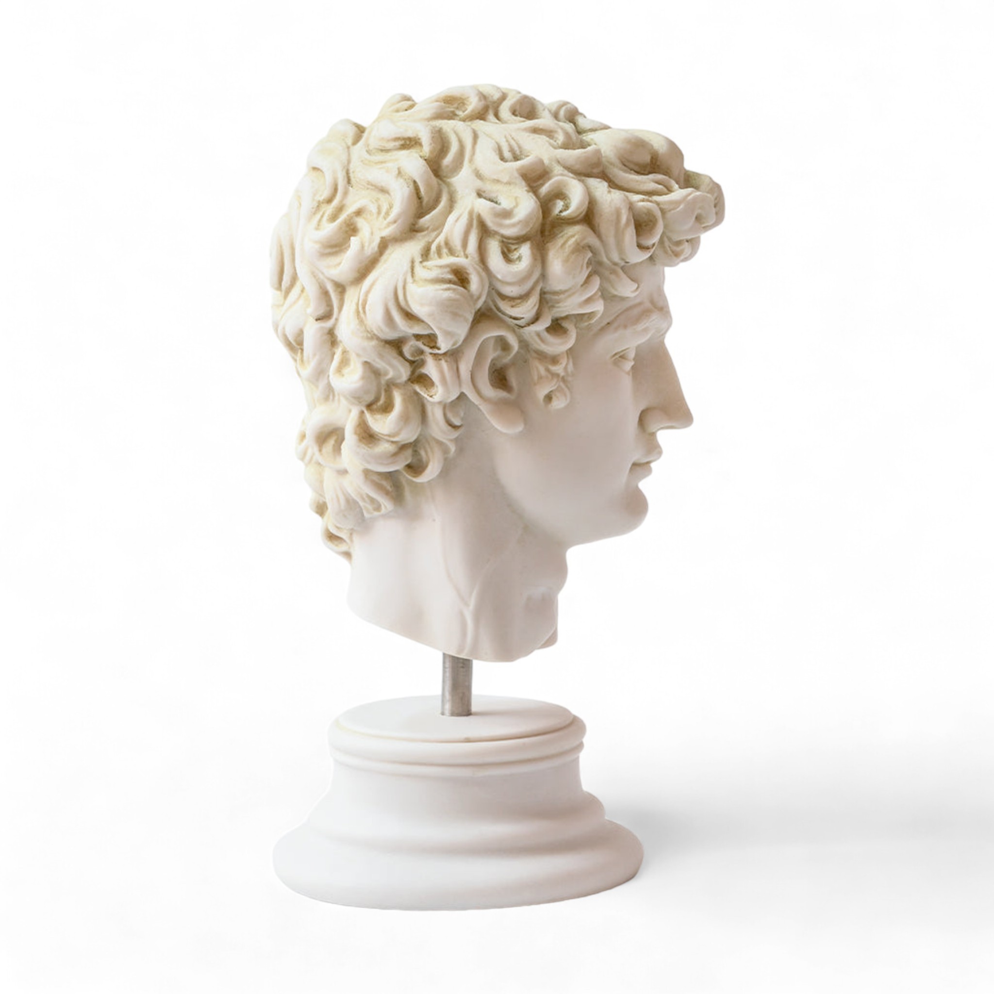 David of Michelangelo Marble Bust