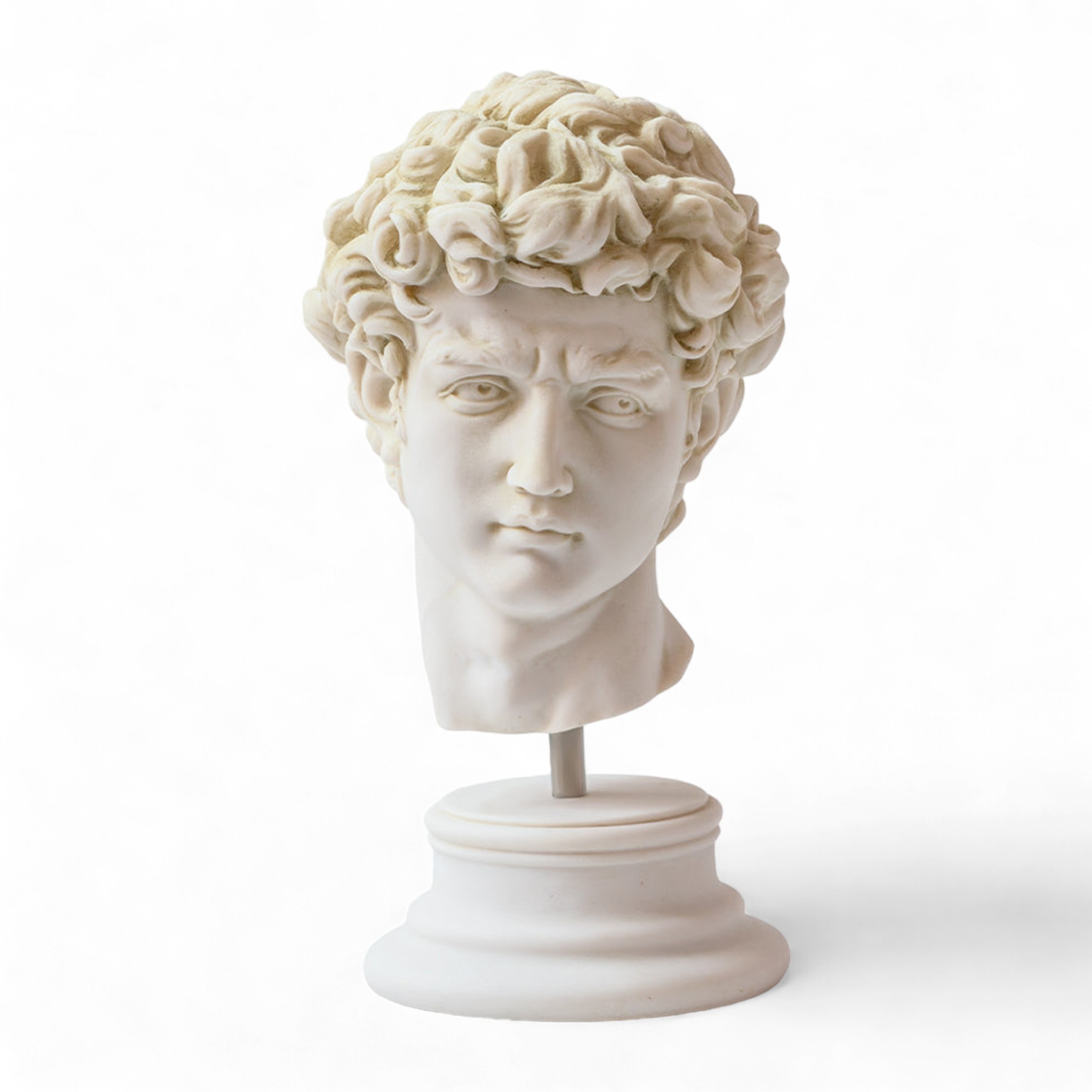 David of Michelangelo Marble Bust main variant image