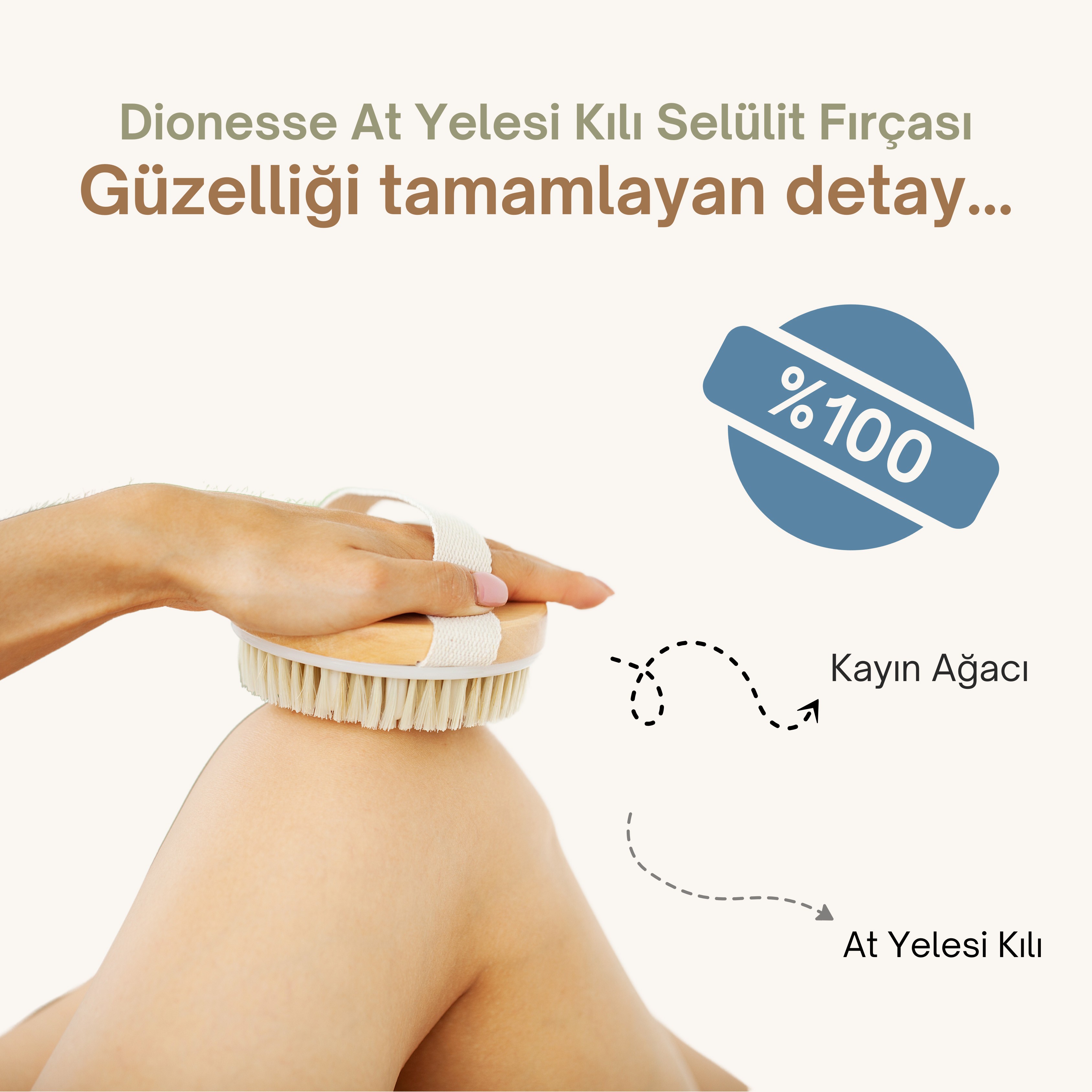 At Kılı Fırçası | %100 Doğal Kayın Ağacı ve At Yelesi Kıllarından El Yapımı Selülit Fırçası