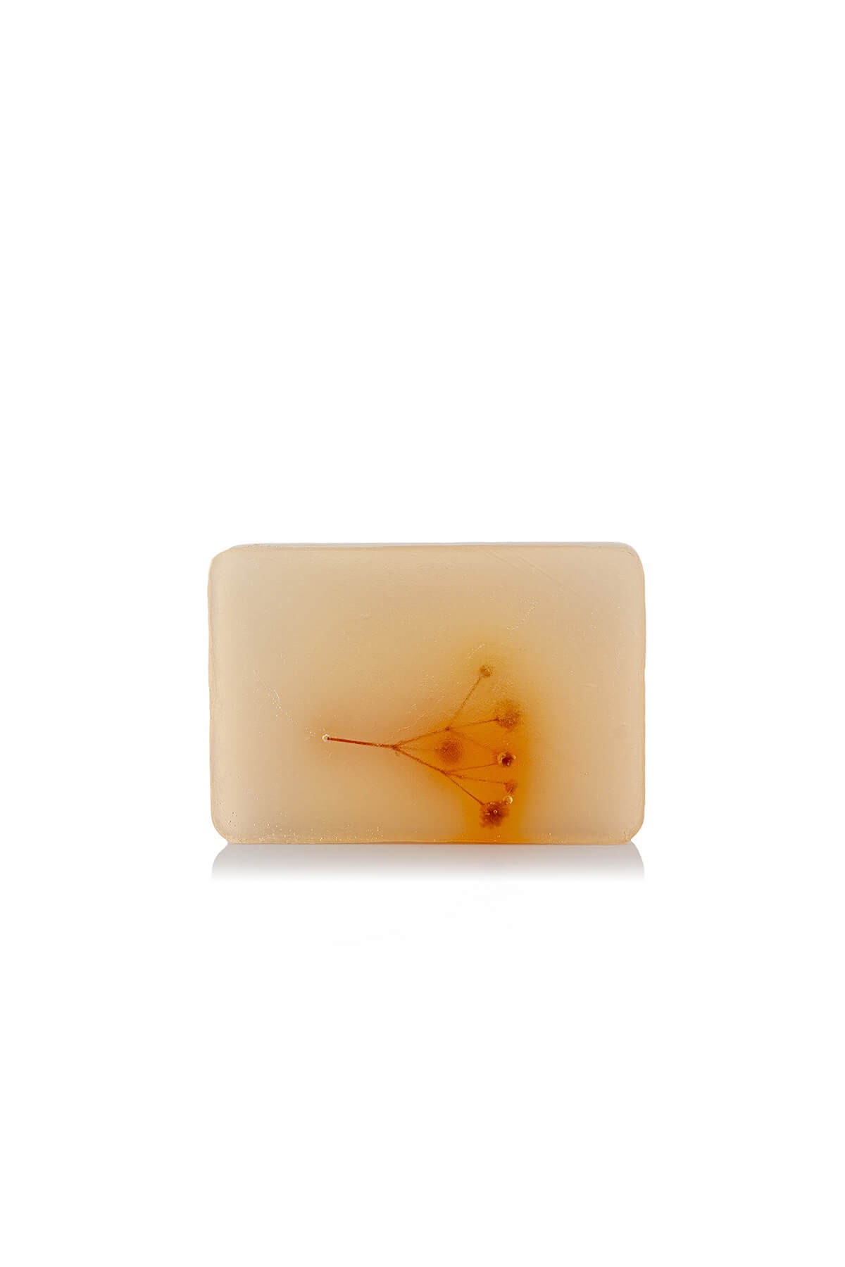 Grape Labada Soap