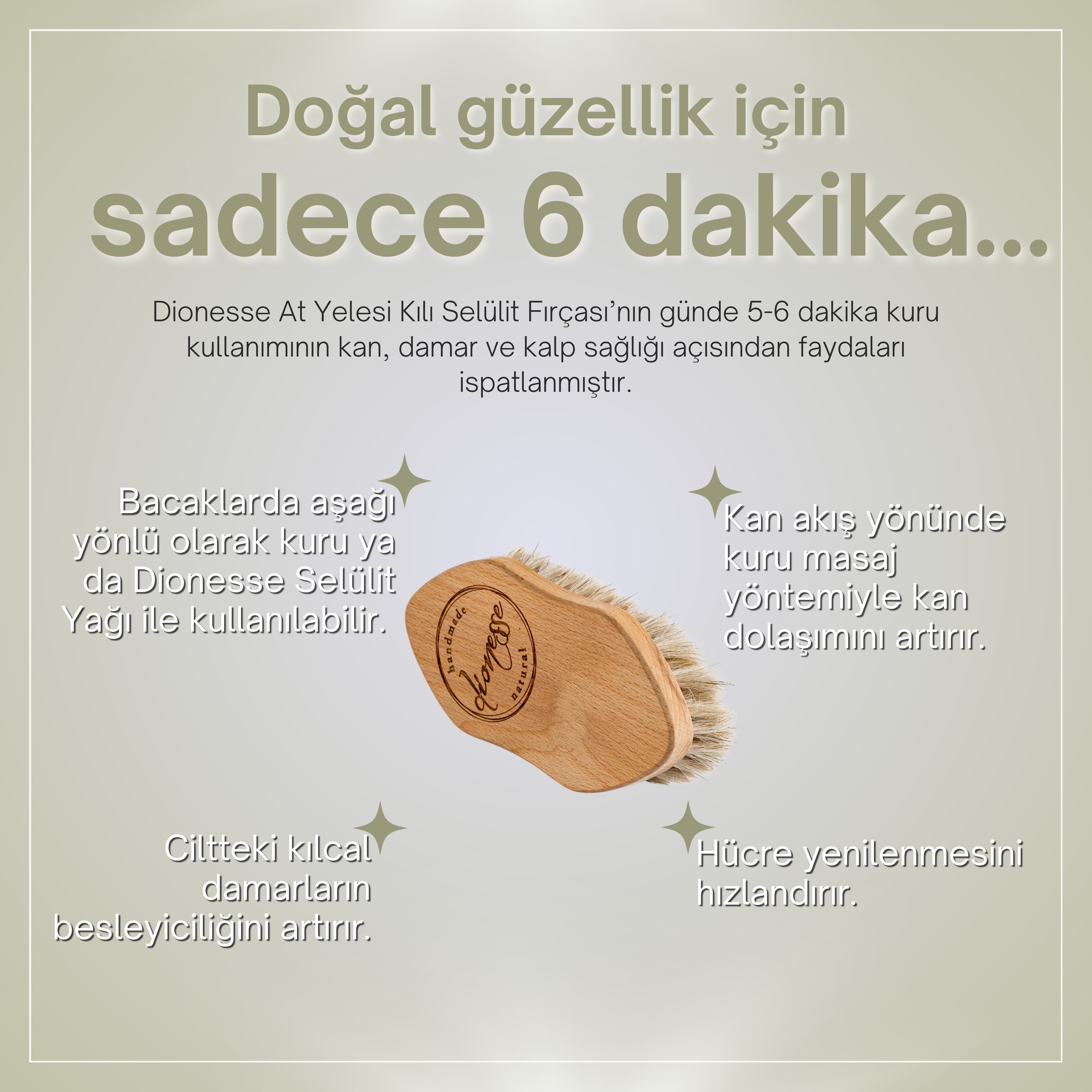 At Kılı Fırçası | %100 Doğal Kayın Ağacı ve At Yelesi Kıllarından El Yapımı Selülit Fırçası
