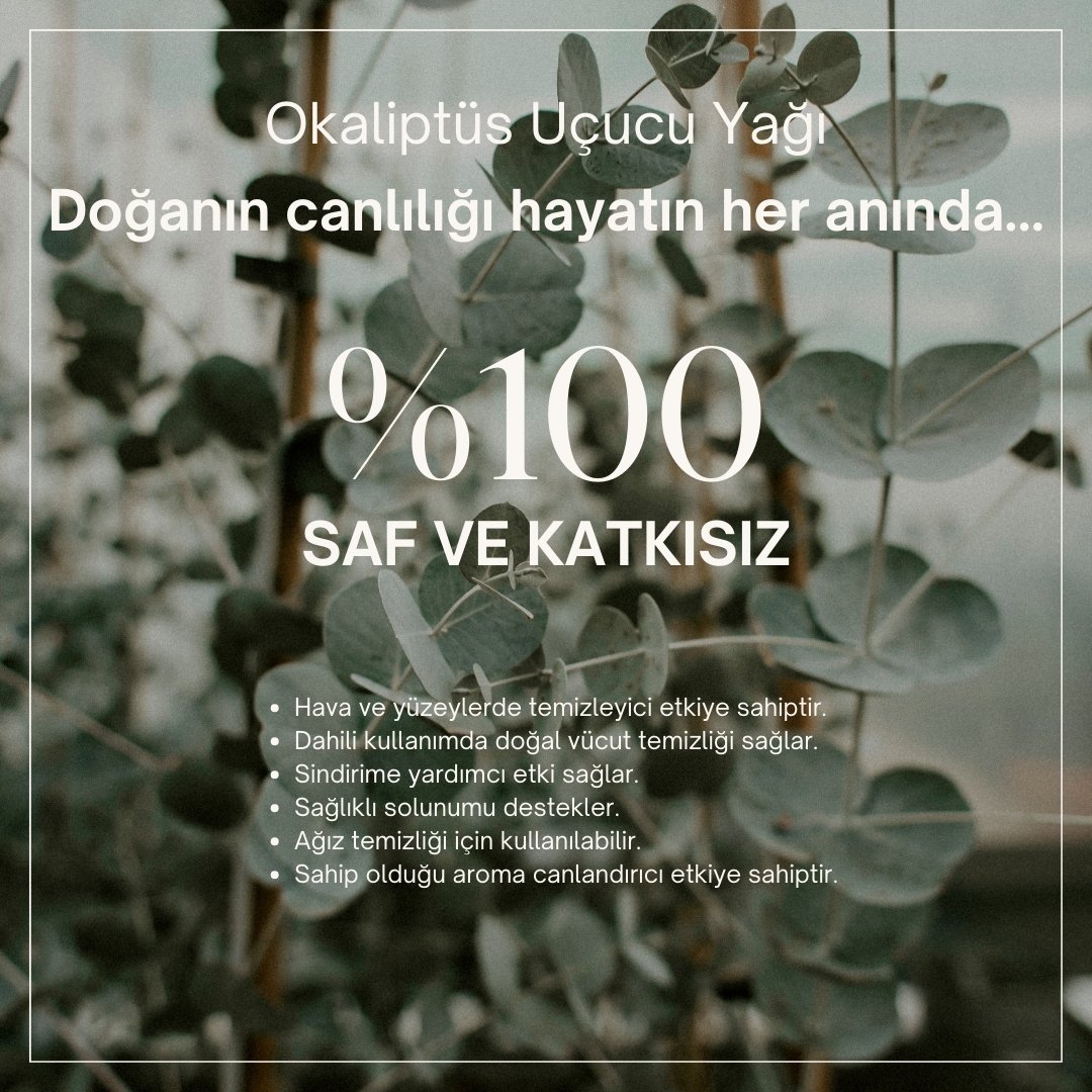 %100 Saf Okaliptüs Yağı 10 ml 