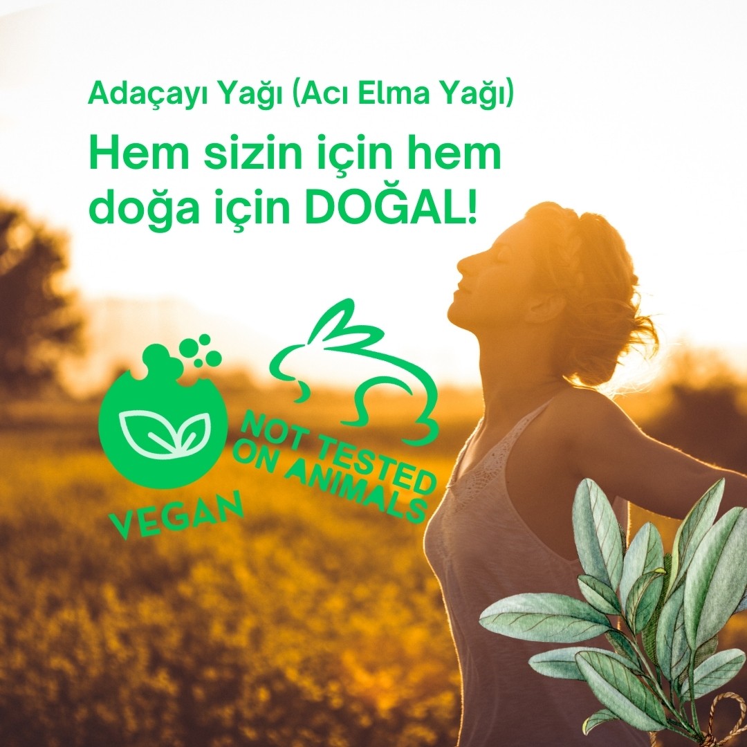 Sage Essential Oil (Bitter Apple Oil) 10 Ml