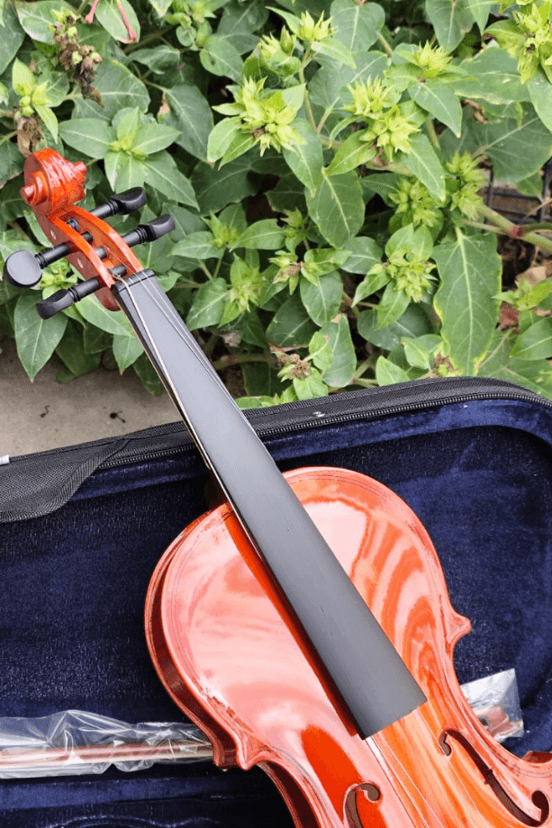 Parlak 4/4 Keman Yetişkin Kemanı