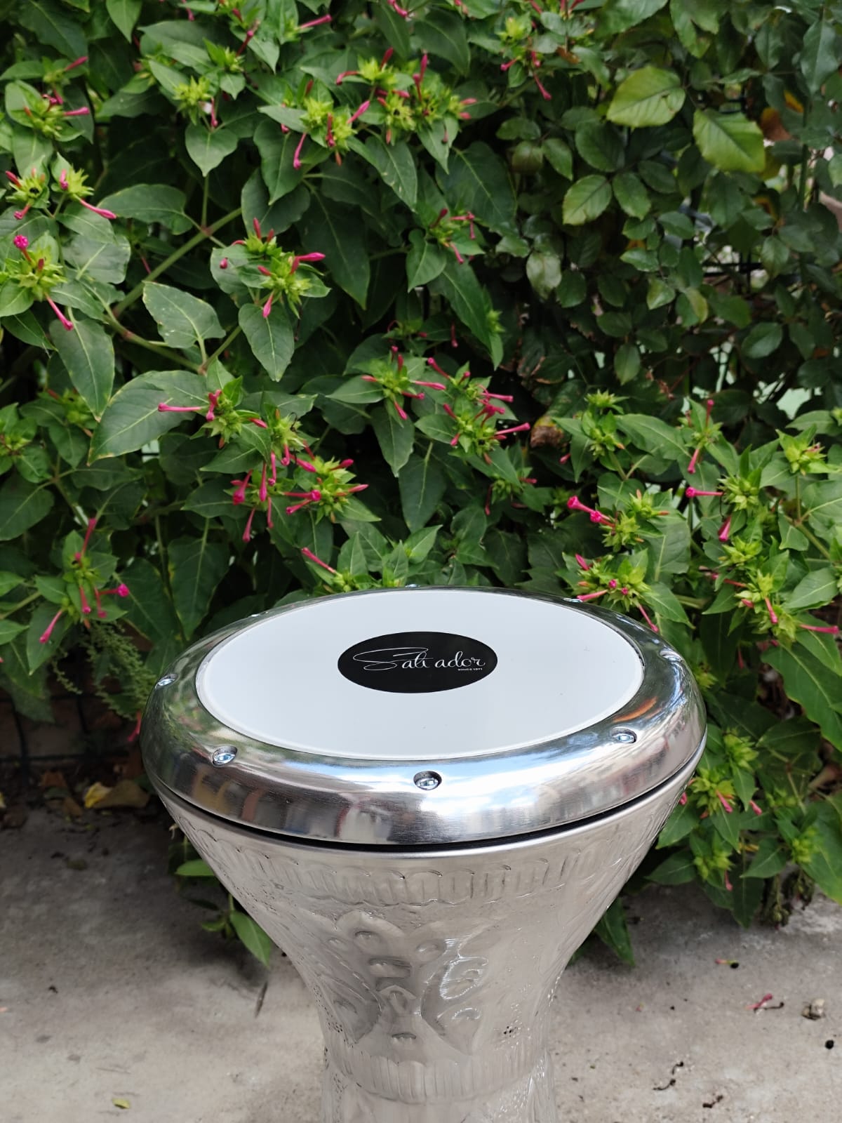 Salvador Profesyonel Desenli İşlemeli Mısır Darbuka Büyük Boy