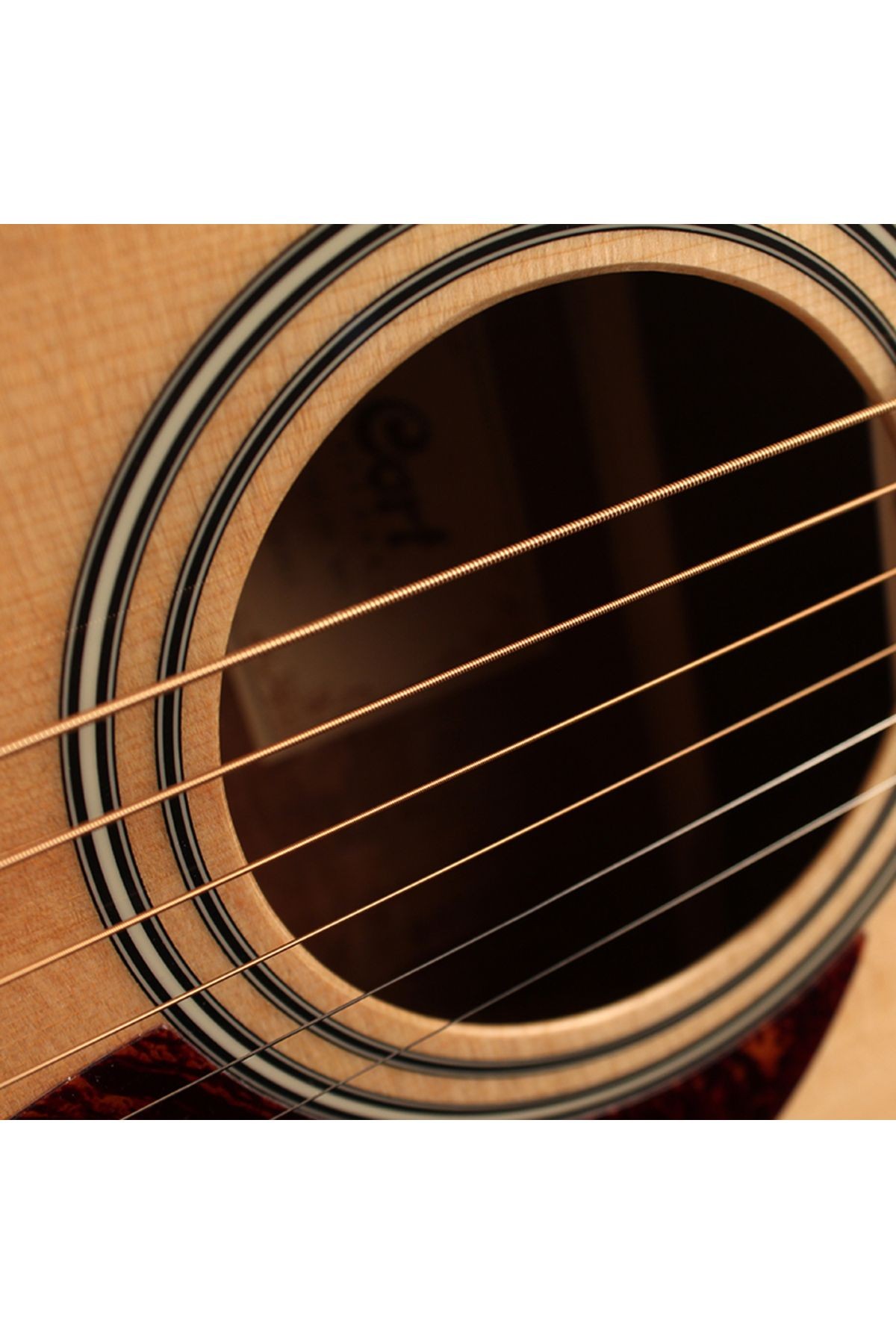 Ad810op Akustik Gitar, Open Pore, Ladin Kapak, Arka &yanla , Ad810op, Akustik Gitar Kılıfs