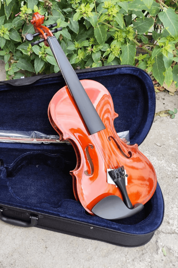 Parlak 4/4 Keman Yetişkin Kemanı