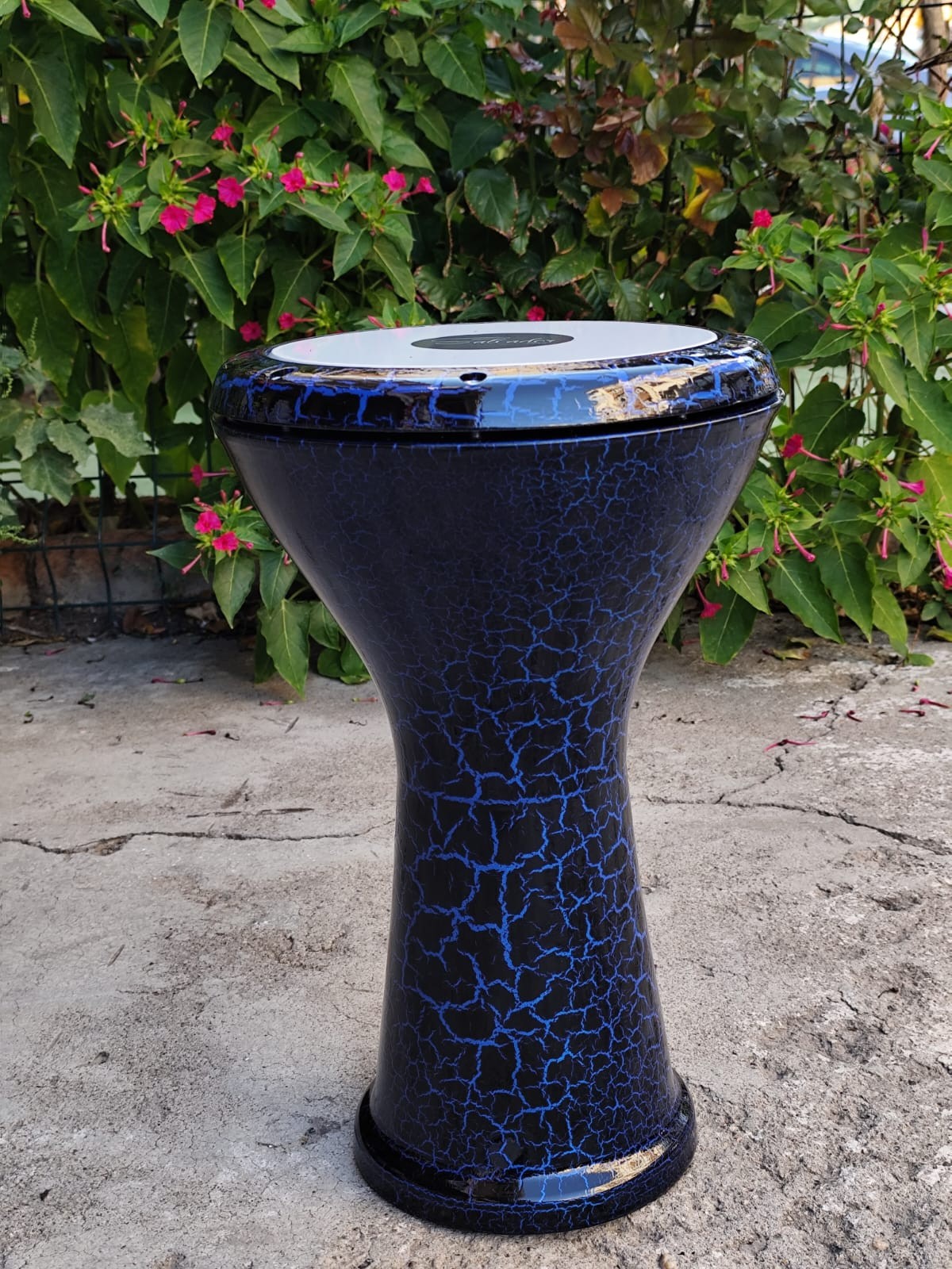 Salvador Profesyonel Döküm Darbuka Mısır Darbuka Mavi Kırçıllı