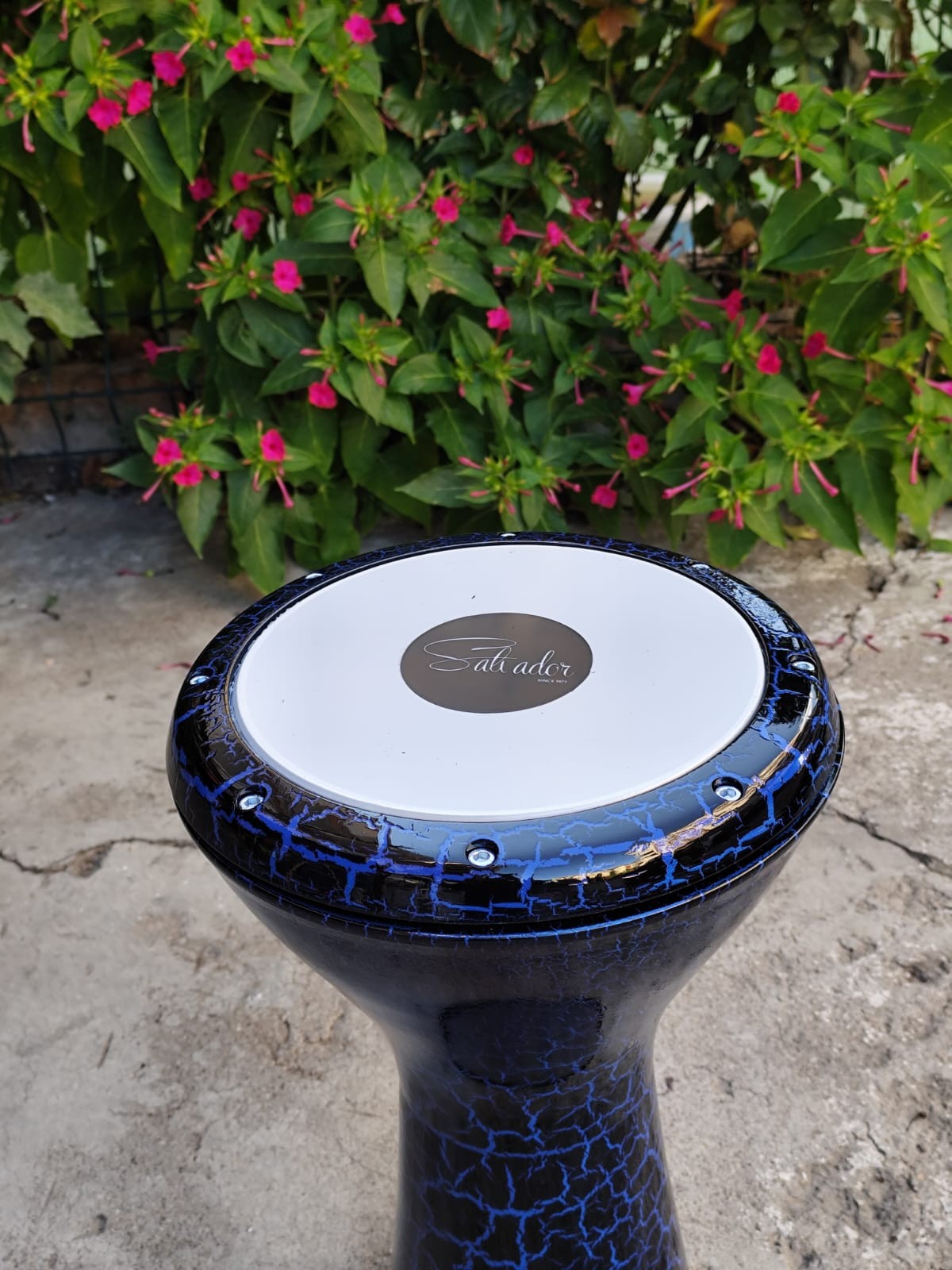Salvador Profesyonel Döküm Darbuka Mısır Darbuka Mavi Kırçıllı